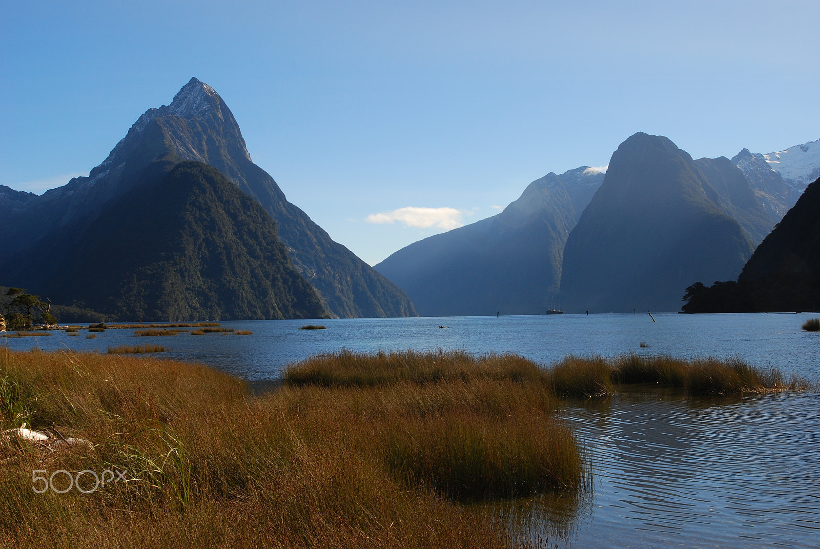 Nikon D80 + AF Zoom-Nikkor 28-100mm f/3.5-5.6G sample photo. Looking into milford sound, new zealand photography