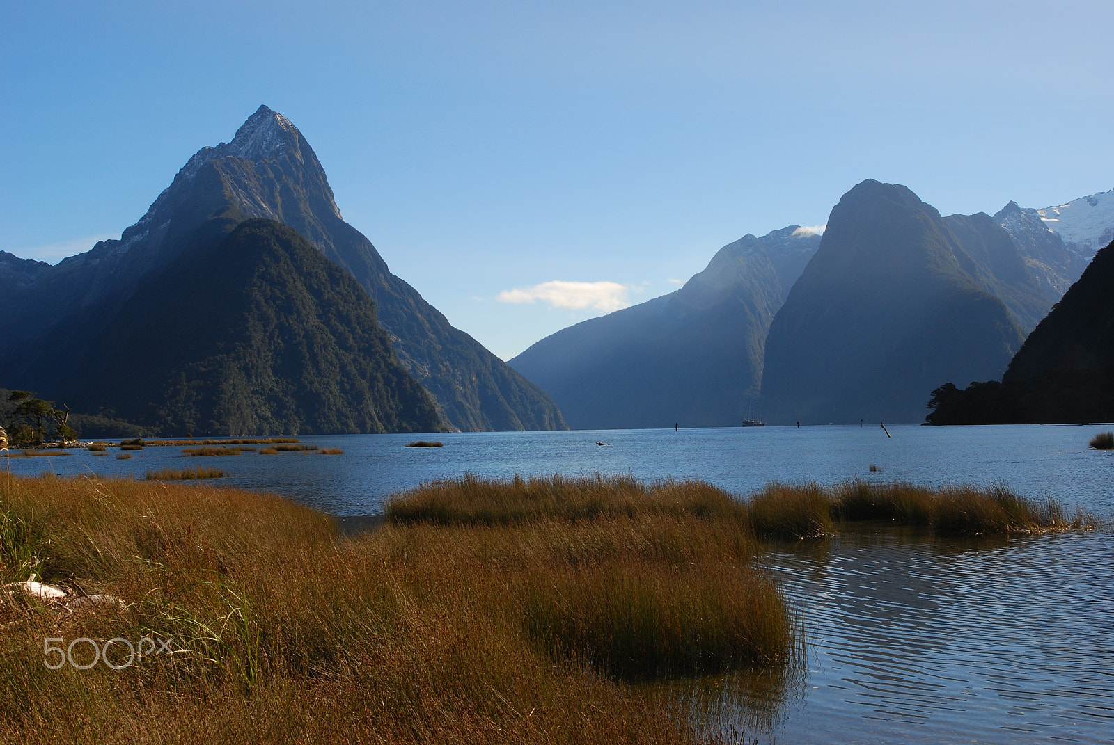AF Zoom-Nikkor 28-100mm f/3.5-5.6G sample photo. Looking into milford sound, new zealand photography