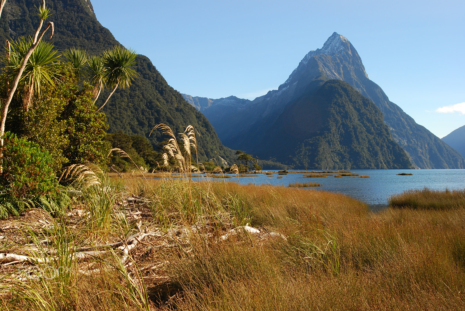 Nikon D80 + AF Zoom-Nikkor 28-100mm f/3.5-5.6G sample photo. Looking towards milford sound, new zealand photography