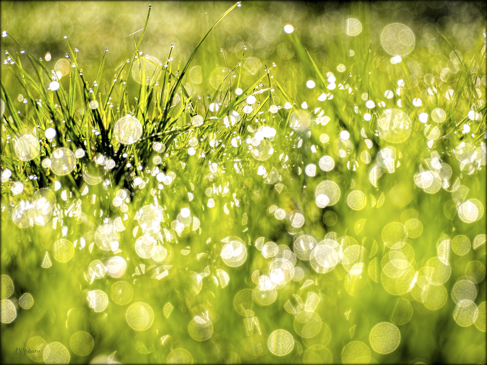 Olympus Zuiko Digital ED 40-150mm F4.0-5.6 sample photo. Photographer's morning joy photography