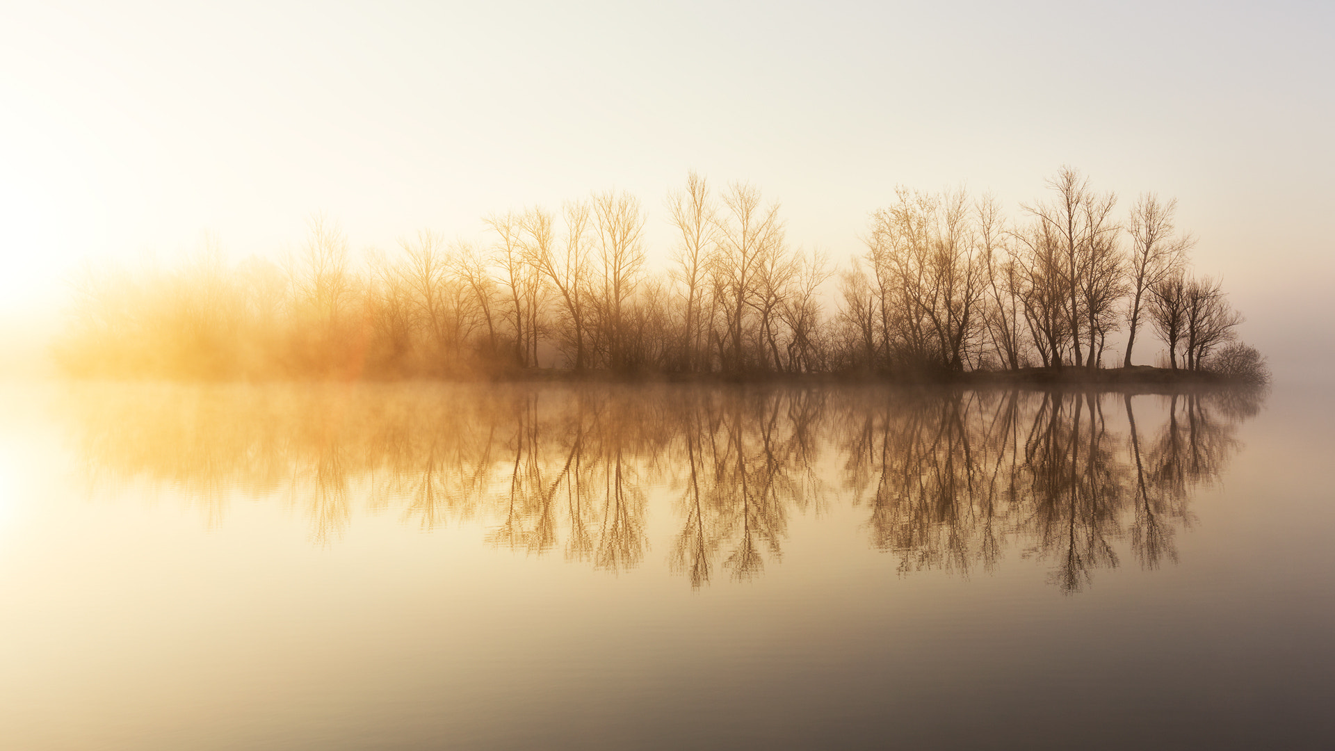 Canon EOS 6D + Canon EF 16-35mm F2.8L USM sample photo. Mystic morning photography