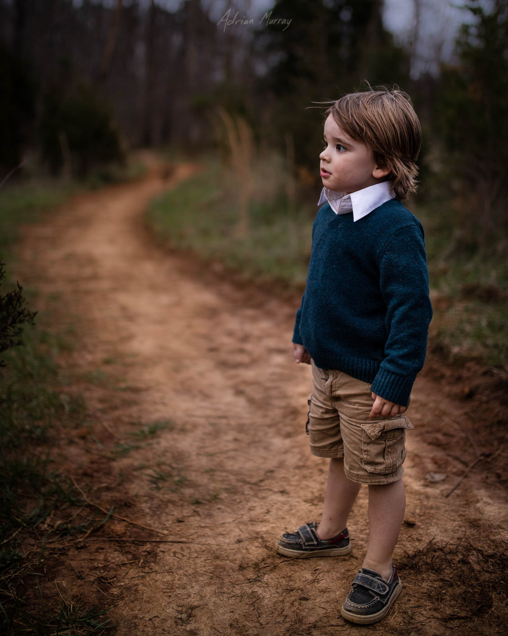 Sigma 35mm F1.4 DG HSM Art sample photo. Winding red road photography