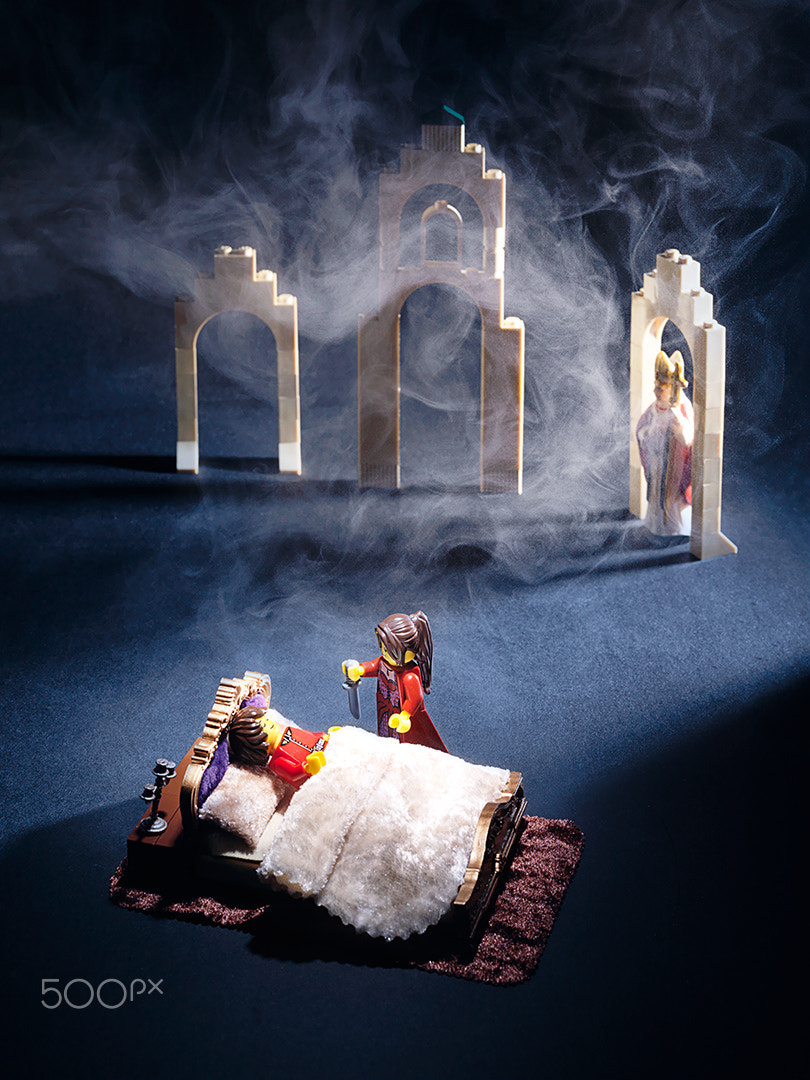 Hasselblad H3DII-39 + HC 80 sample photo. Hail to shakespeare - lego version photography