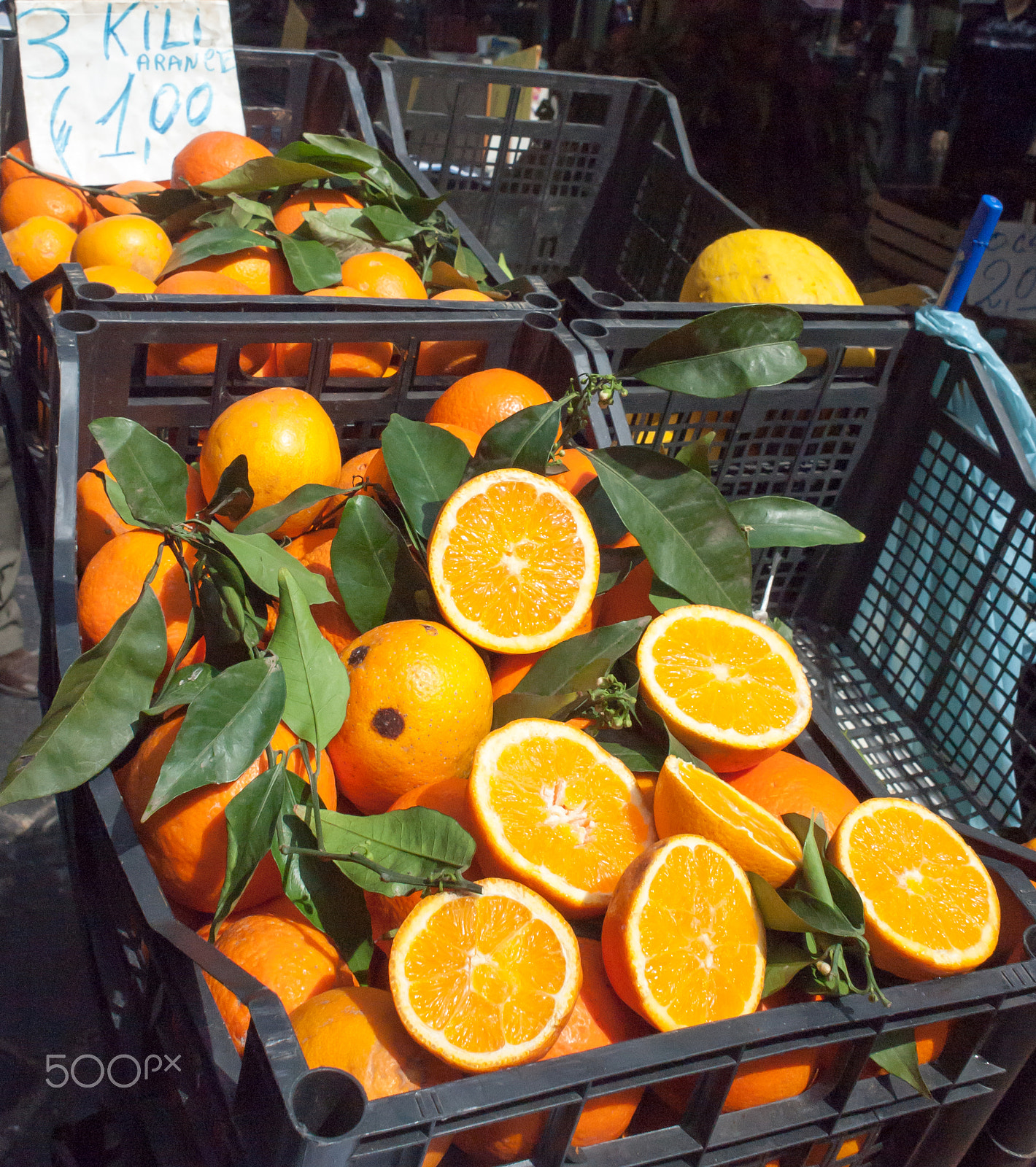 Olympus PEN E-P2 + Olympus M.Zuiko Digital 17mm F2.8 Pancake sample photo. Orange in naples photography