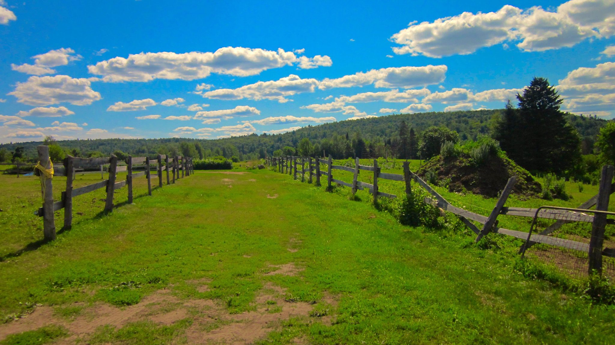 Canon PowerShot SD1300 IS (IXUS 105 / IXY 200F) sample photo. Rawdon, quebec photography