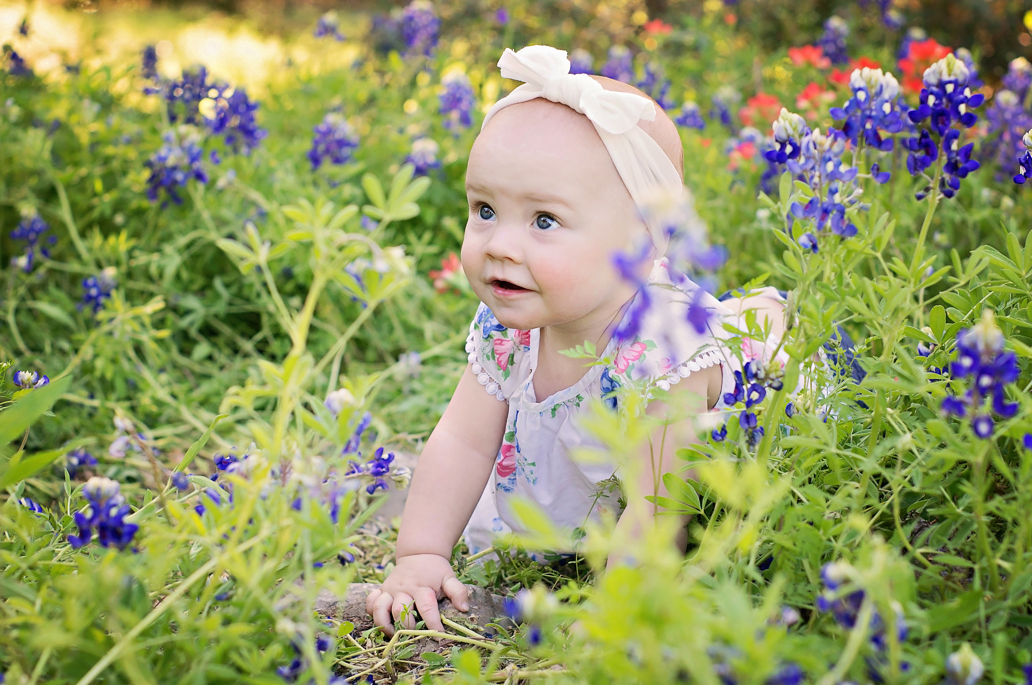 Sony SLT-A57 + Minolta AF 50mm F1.7 sample photo. Bluebonnet baby photography