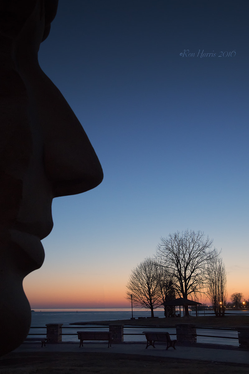 Sony ILCA-77M2 sample photo. Sunset watcher photography