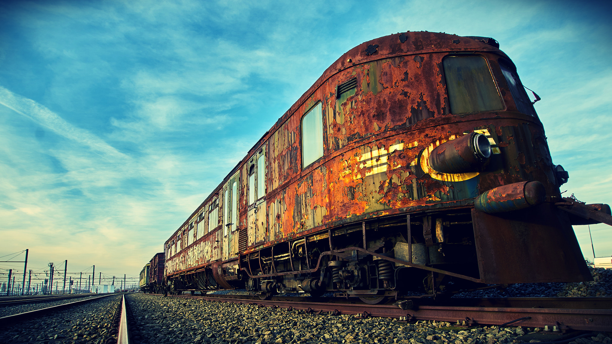Sony ILCA-77M2 + 10-20mm F3.5 sample photo. How the mighty beast has fallen photography