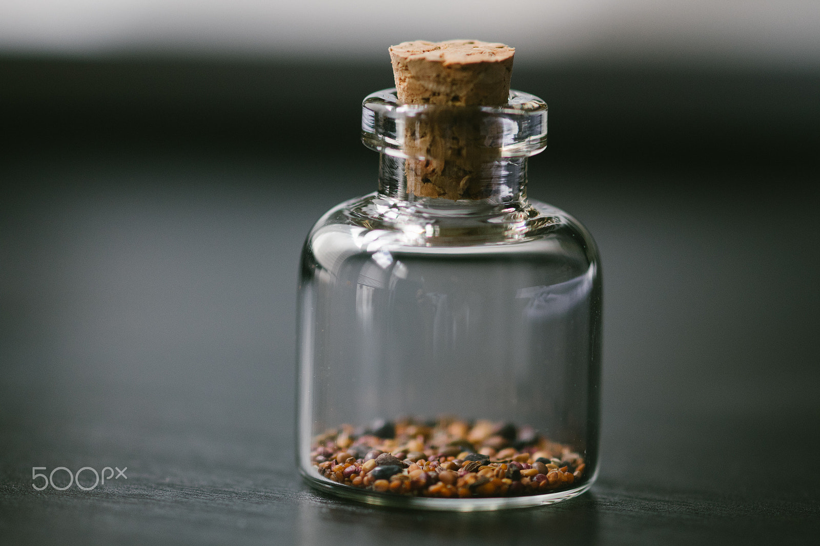 Canon EOS M2 + Canon EF 100mm F2.8 Macro USM sample photo. Seeds in a jar photography