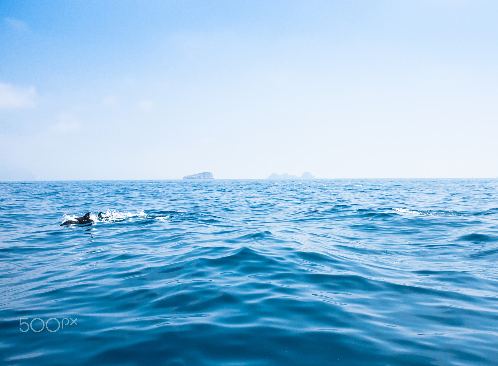 Olympus PEN E-P2 + Olympus M.Zuiko Digital 17mm F2.8 Pancake sample photo. Sorrento, seaview with dolphins photography