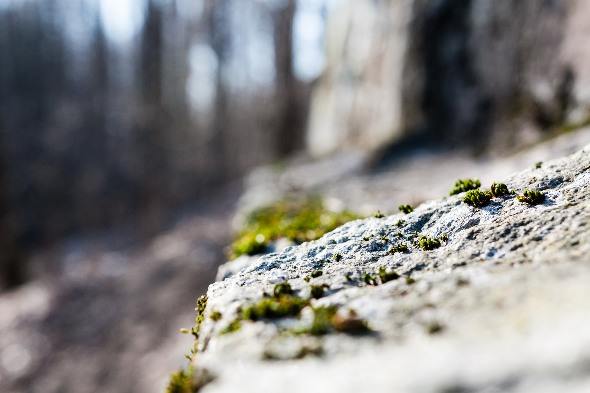 Sigma 18-35mm f/1.8 DC HSM sample photo. Spring on the rock photography