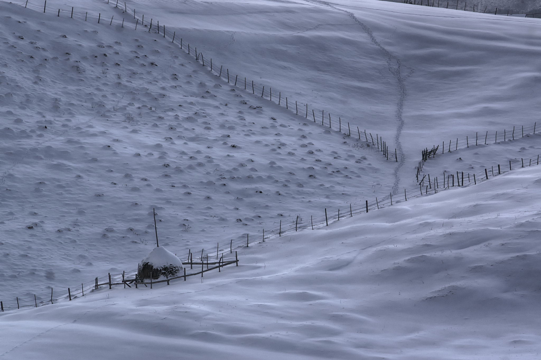 Sony SLT-A77 + Tamron SP AF 70-200mm F2.8 Di LD (IF) MACRO sample photo. Romanian stories - winter landscapes photography