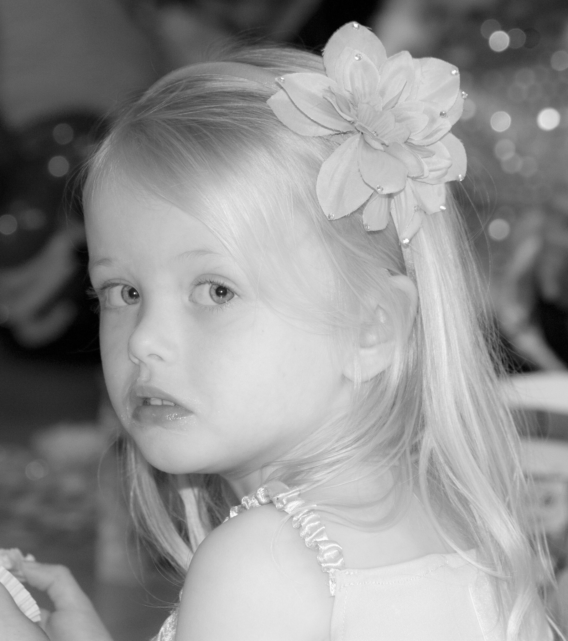 Canon EOS 450D (EOS Rebel XSi / EOS Kiss X2) sample photo. Wasn't me honest photography