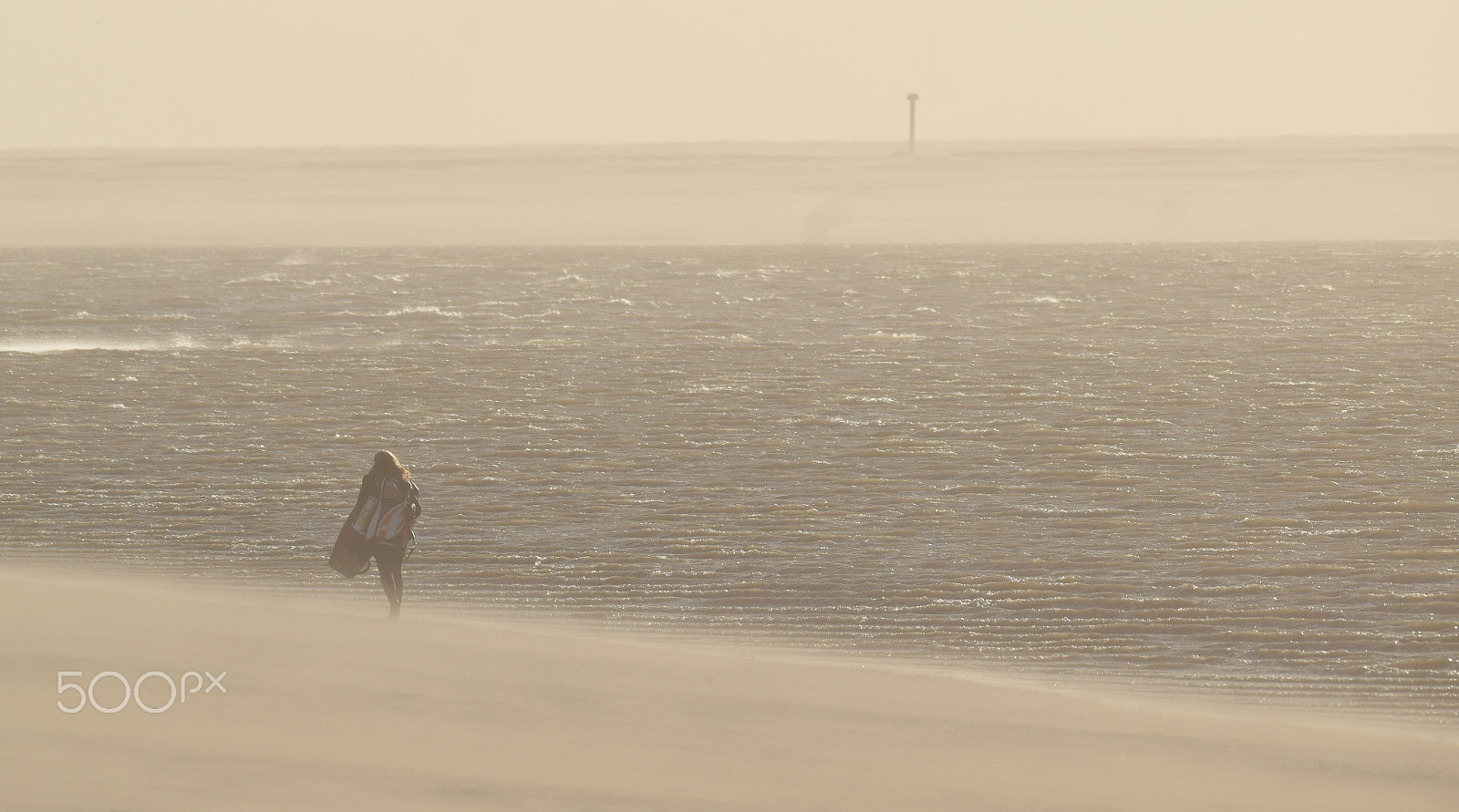 Sigma 150-500mm F5-6.3 DG OS HSM sample photo. Windy beach photography