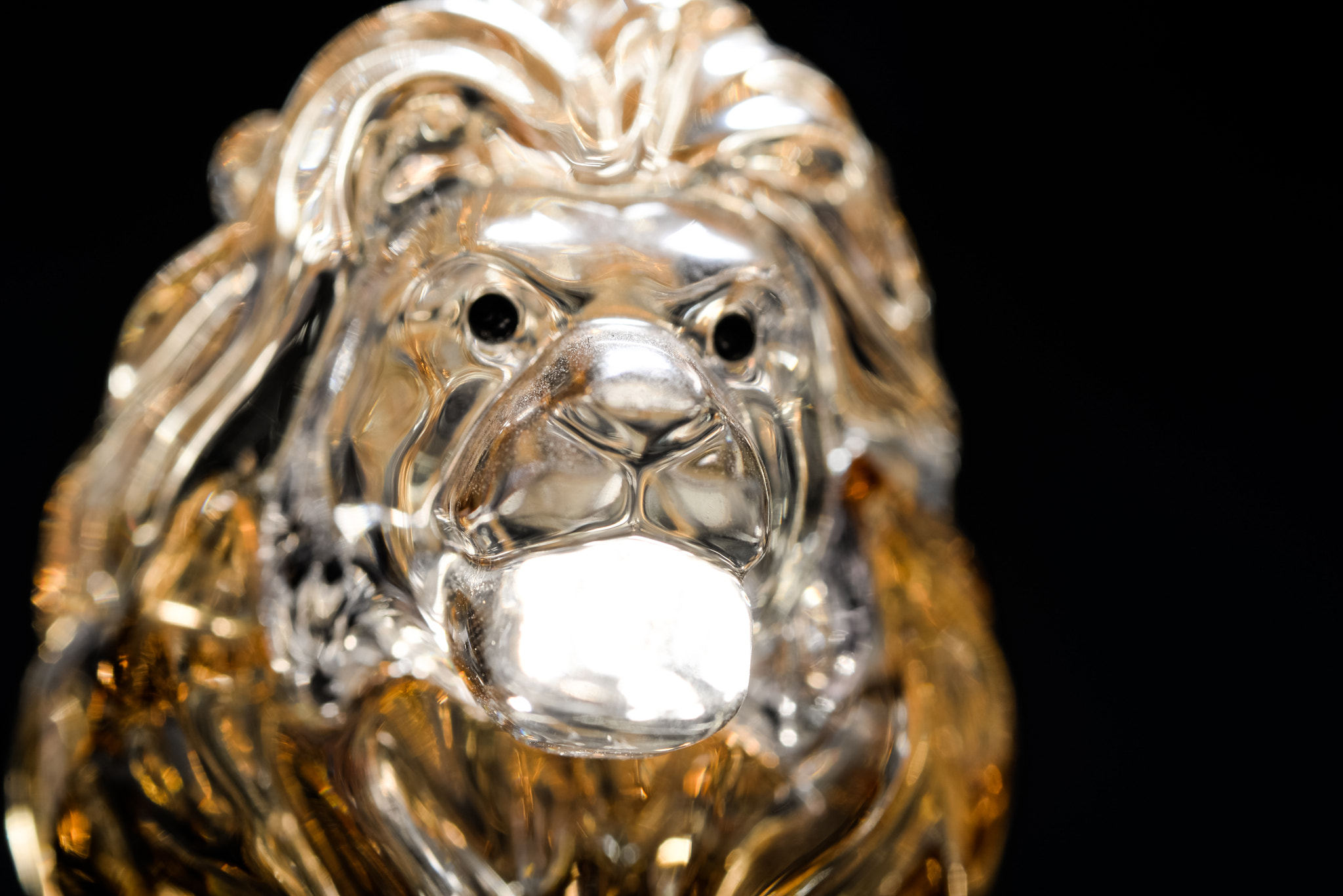 Nikon D610 + Sigma 105mm F2.8 EX DG Macro sample photo. The lion king photography