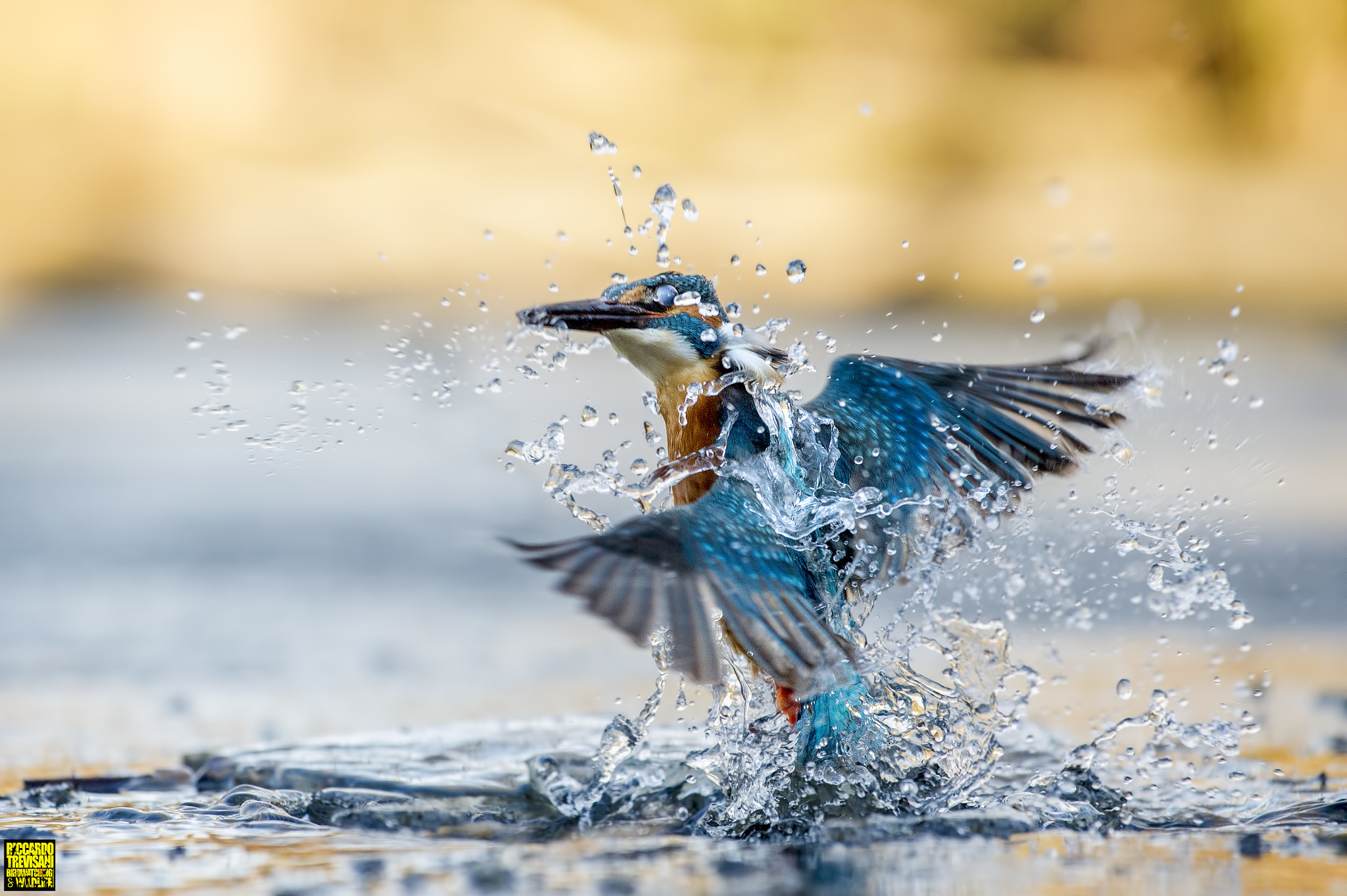 Nikon AF-S Nikkor 70-200mm F4G ED VR sample photo. Sunset dancer photography