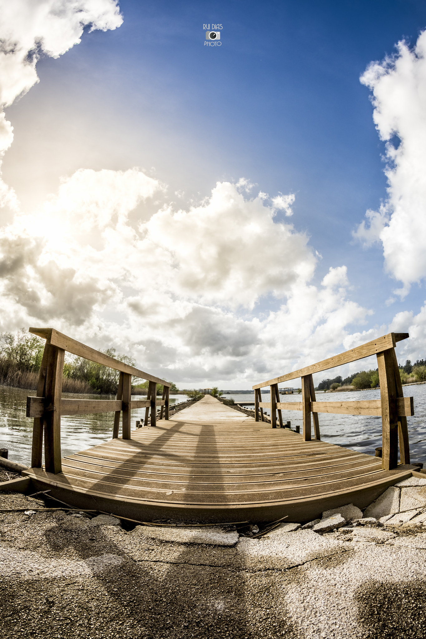 Nikon D7200 + Samyang 8mm F3.5 Aspherical IF MC Fisheye sample photo. Sunny path photography