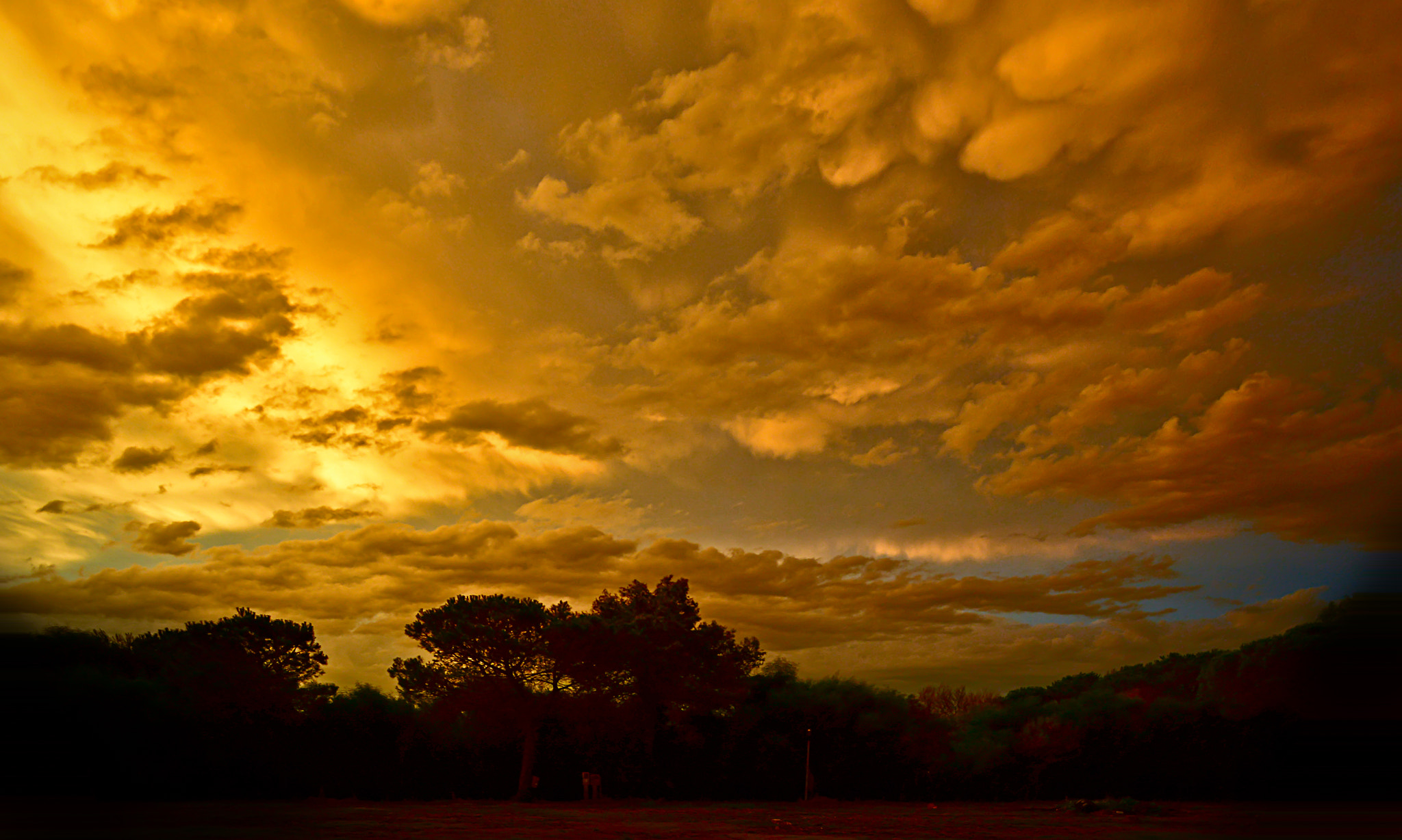 Nikon D7100 + AF Nikkor 28mm f/2.8 sample photo. Oro nel cielo gold in the sky photography