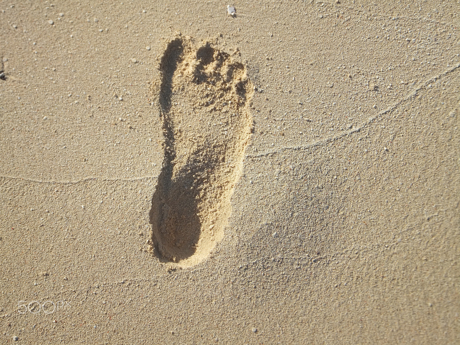 FujiFilm FinePix F500 EXR (FinePix F505 EXR) sample photo. Human photography
