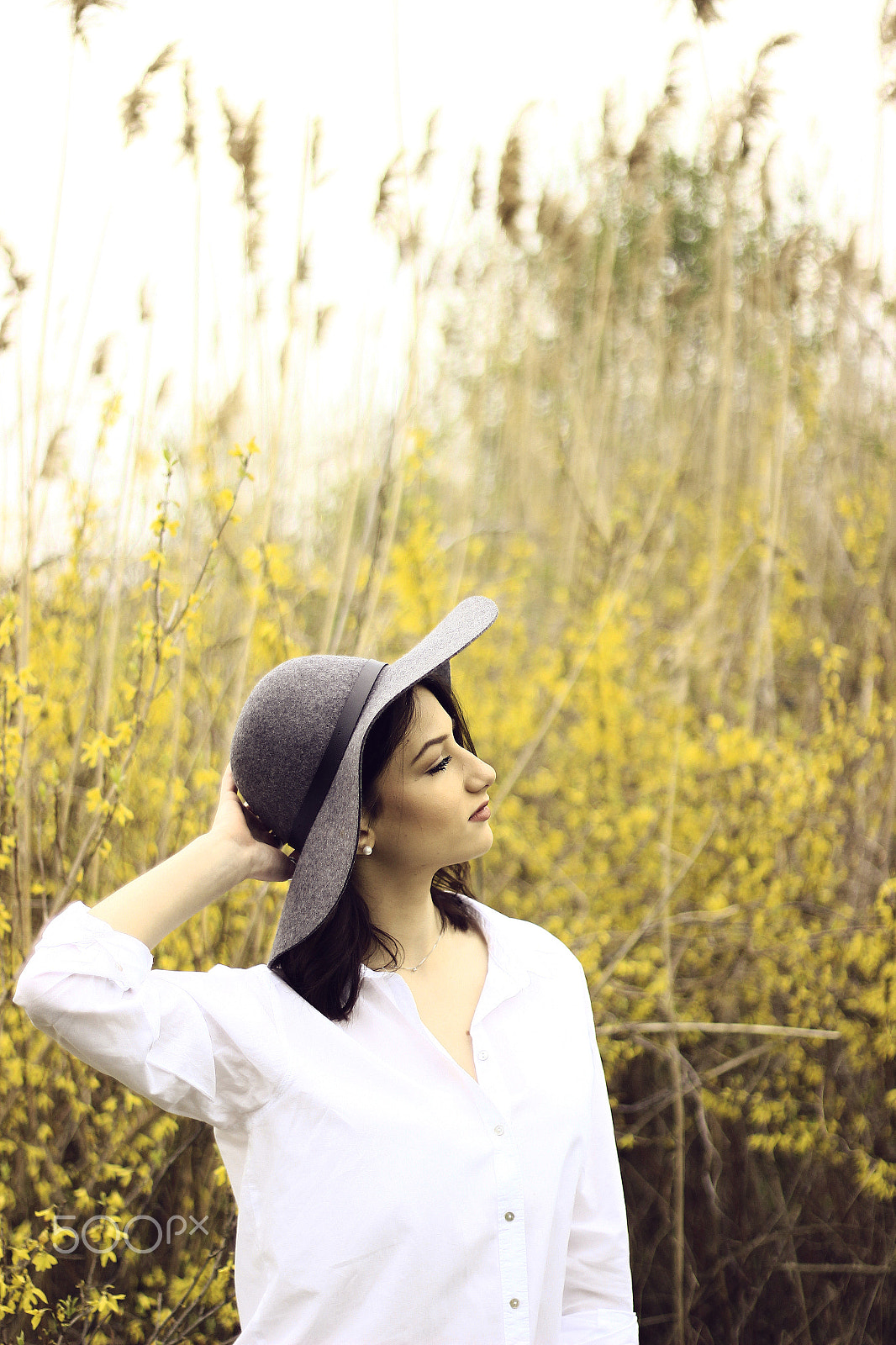 Canon EOS 600D (Rebel EOS T3i / EOS Kiss X5) + Canon EF 50mm F1.8 II sample photo. Beautiful ana photography