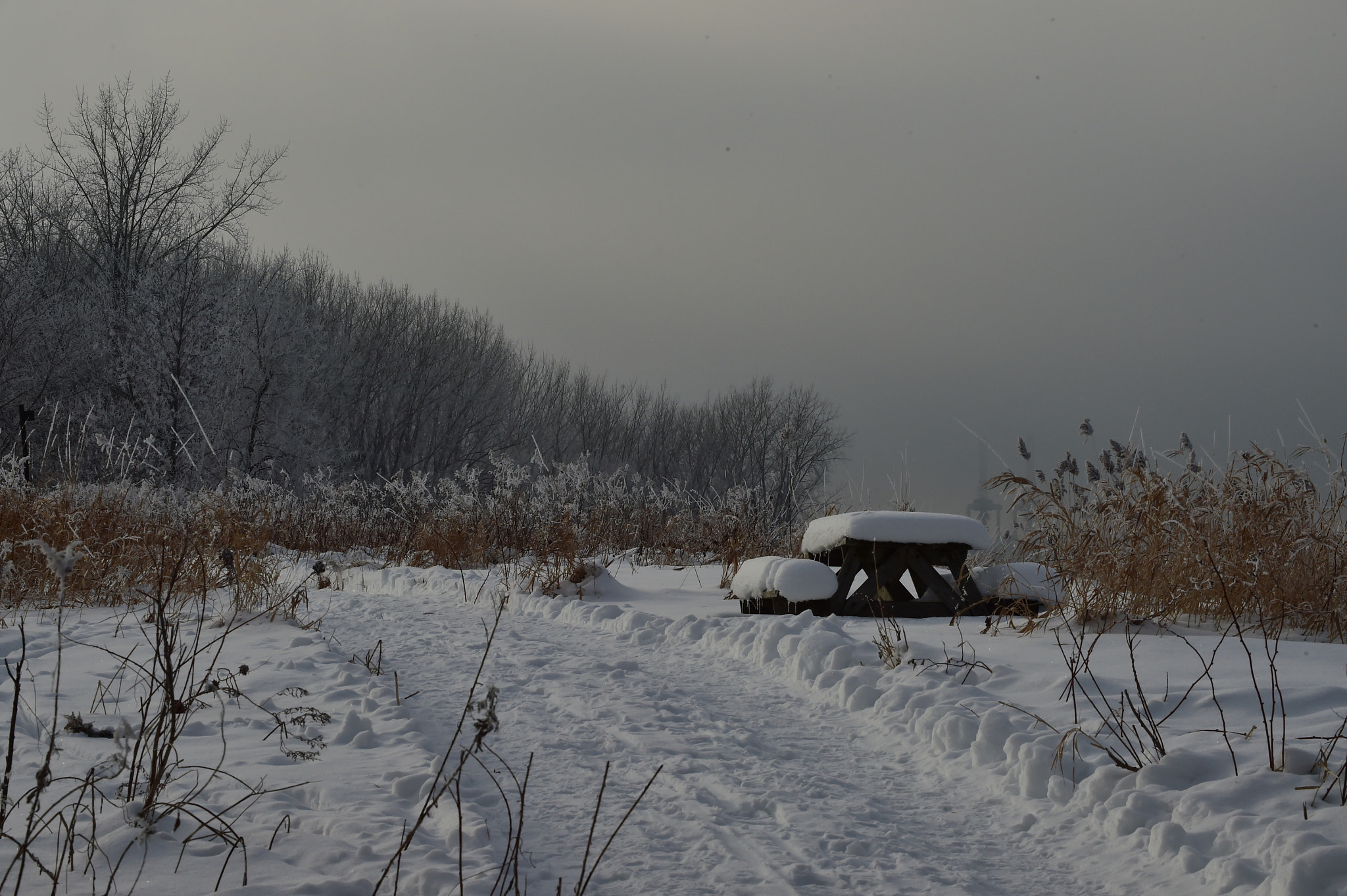 Sigma 50-500mm F4.5-6.3 DG OS HSM sample photo. Winter 2016 photography