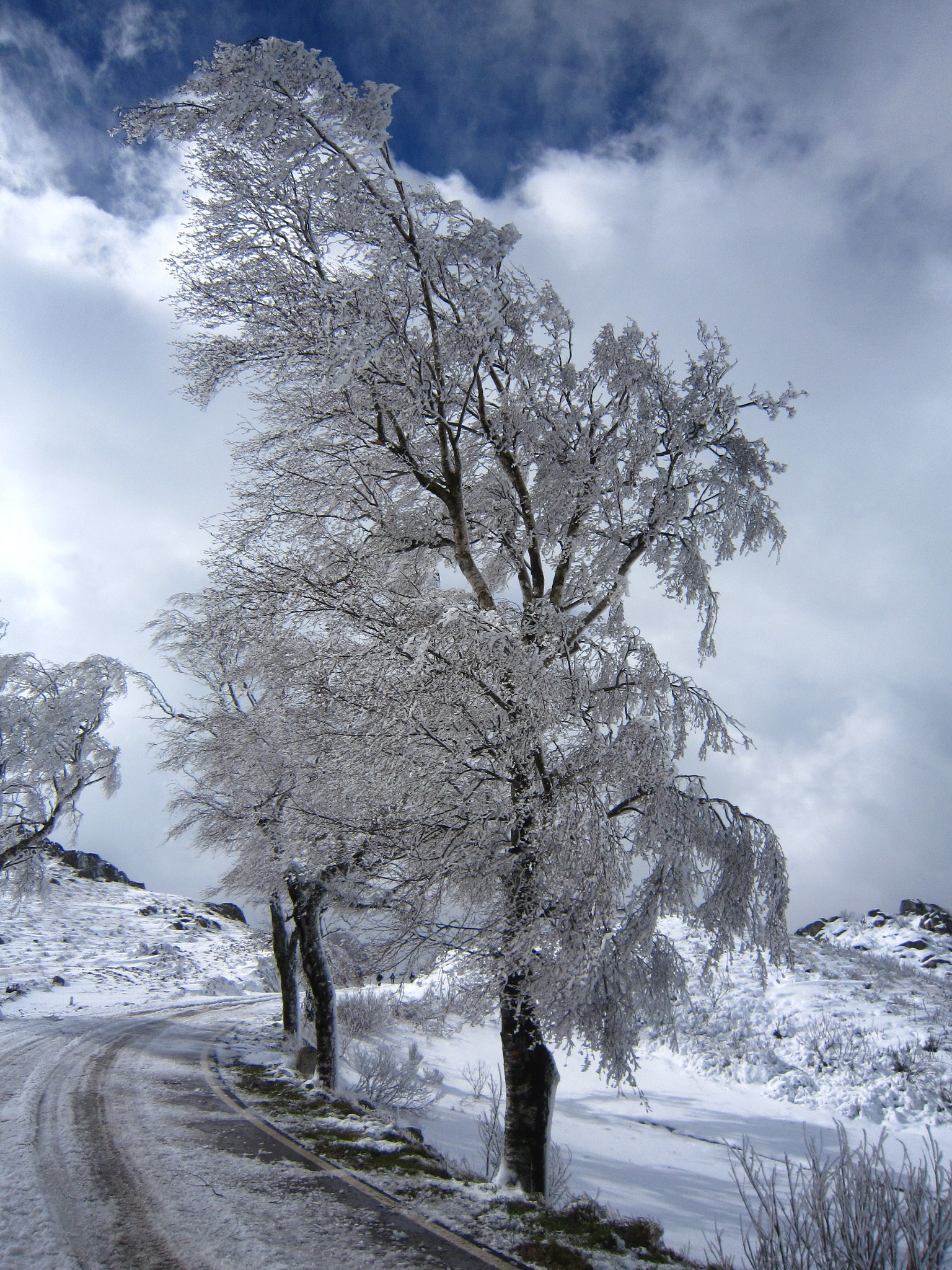 Canon PowerShot SD980 IS (Digital IXUS 200 IS / IXY Digital 930 IS) sample photo. Snow photography