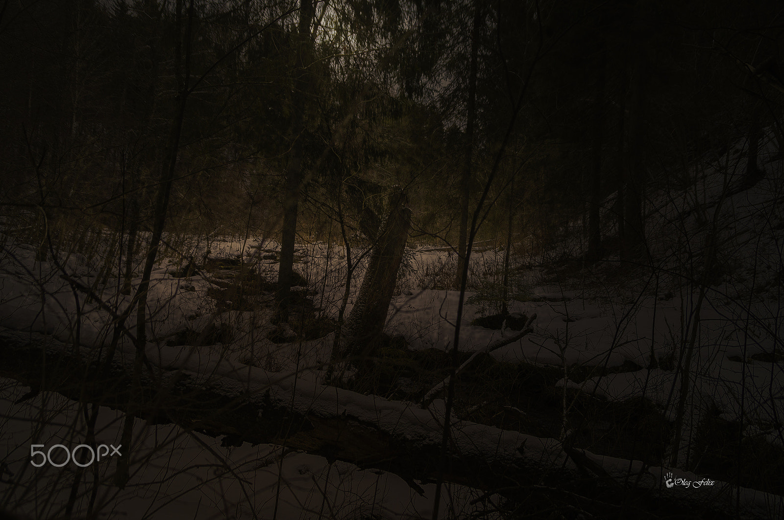 Sony SLT-A37 sample photo. Night light photography
