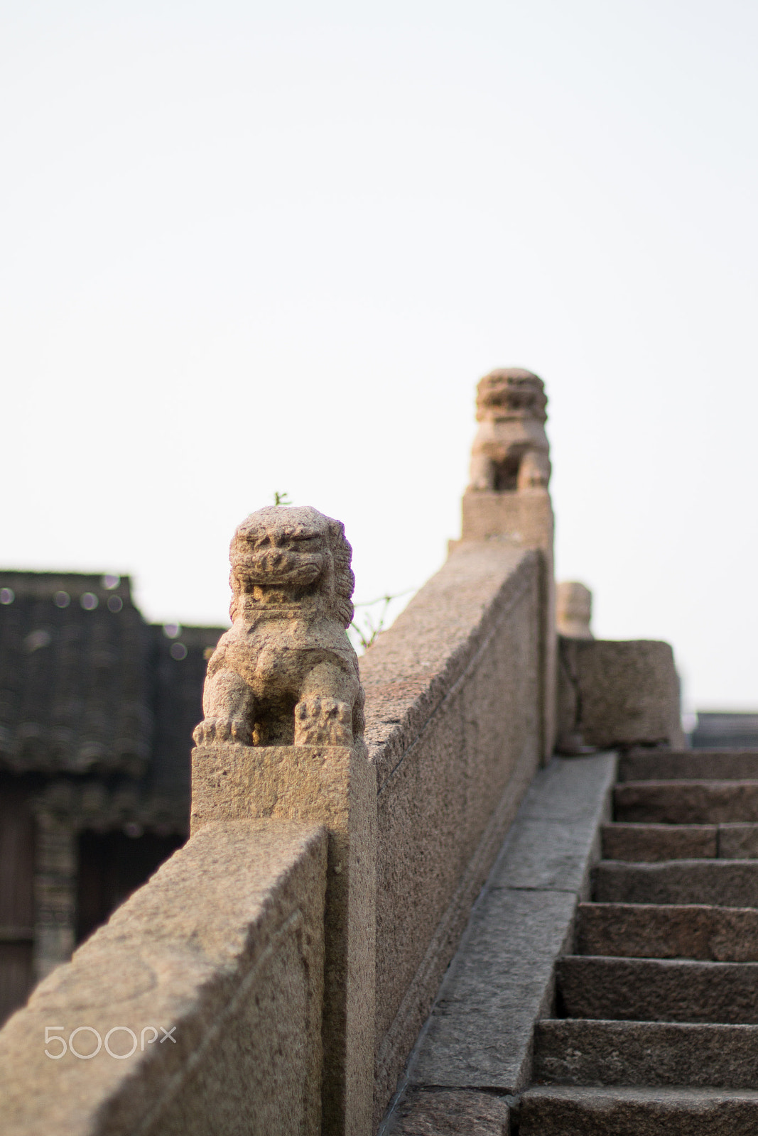 Canon EOS 700D (EOS Rebel T5i / EOS Kiss X7i) + Canon EF 50mm F1.4 USM sample photo. Wuzhen photography