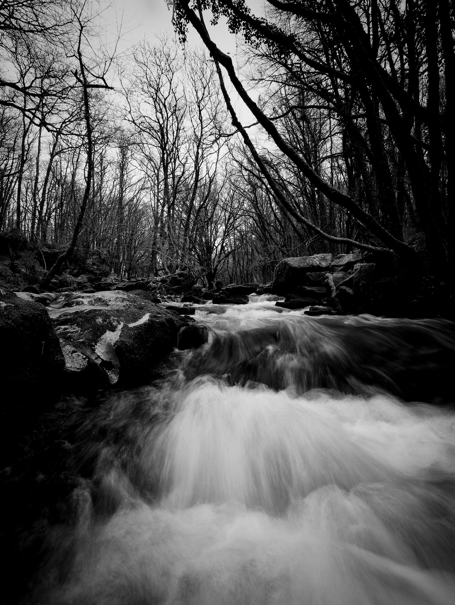Panasonic Lumix DMC-GX7 + OLYMPUS M.9-18mm F4.0-5.6 sample photo. Silver golitha photography