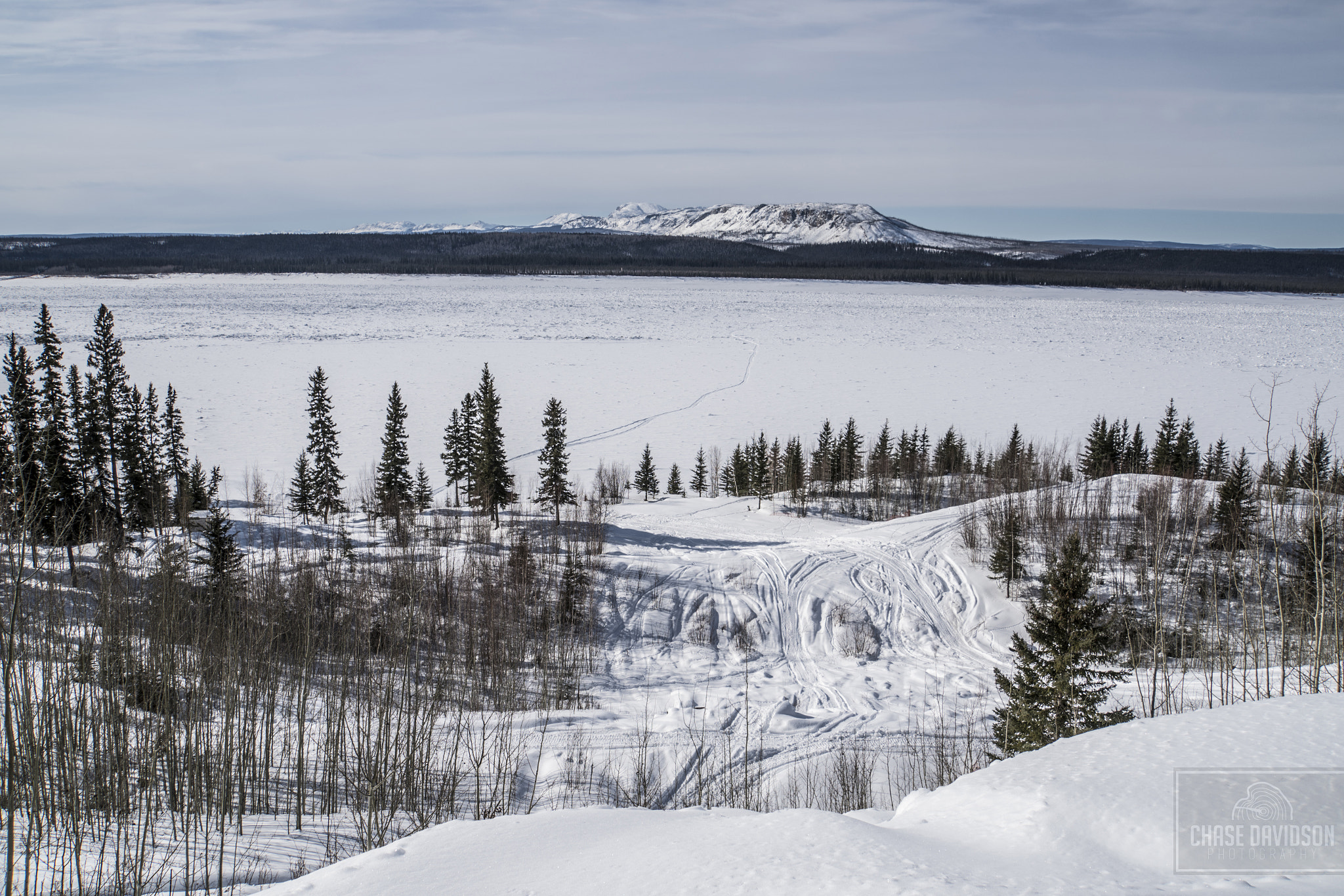 Sony E 18-200mm F3.5-6.3 OSS LE sample photo. Wrigley, nwt photography