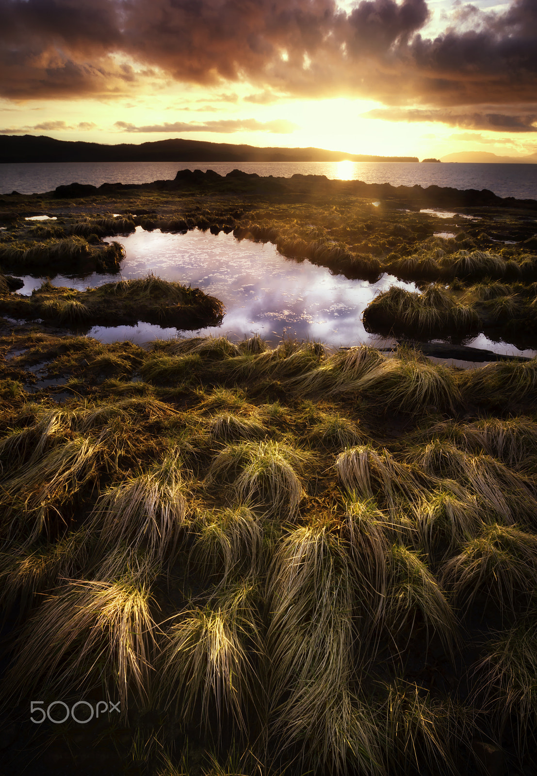 Pentax K-3 sample photo. Winter grass photography
