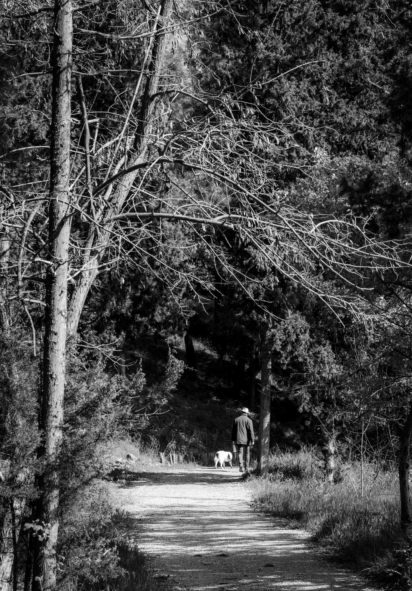 Canon EF 24-70mm F4L IS USM sample photo. Cowboy photography