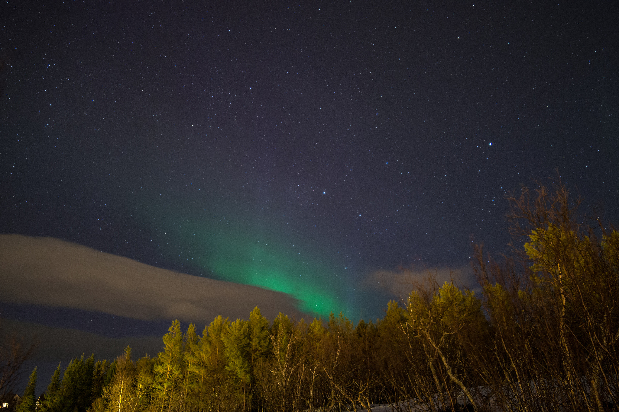 Samyang 14mm F2.8 ED AS IF UMC sample photo. Aurora photography
