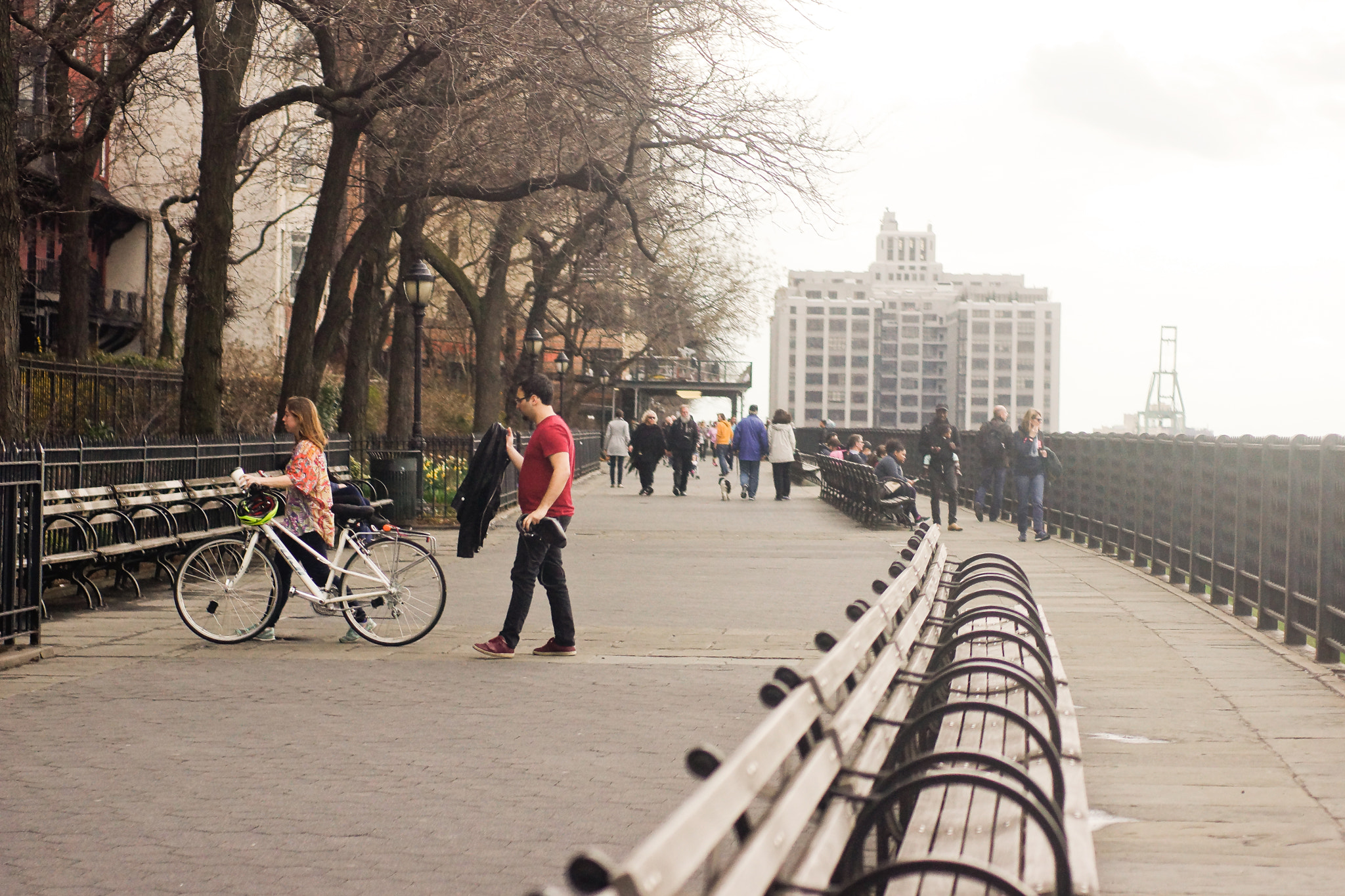 Sony SLT-A77 + Minolta AF 50mm F1.4 [New] sample photo. @ brookly walkway photography