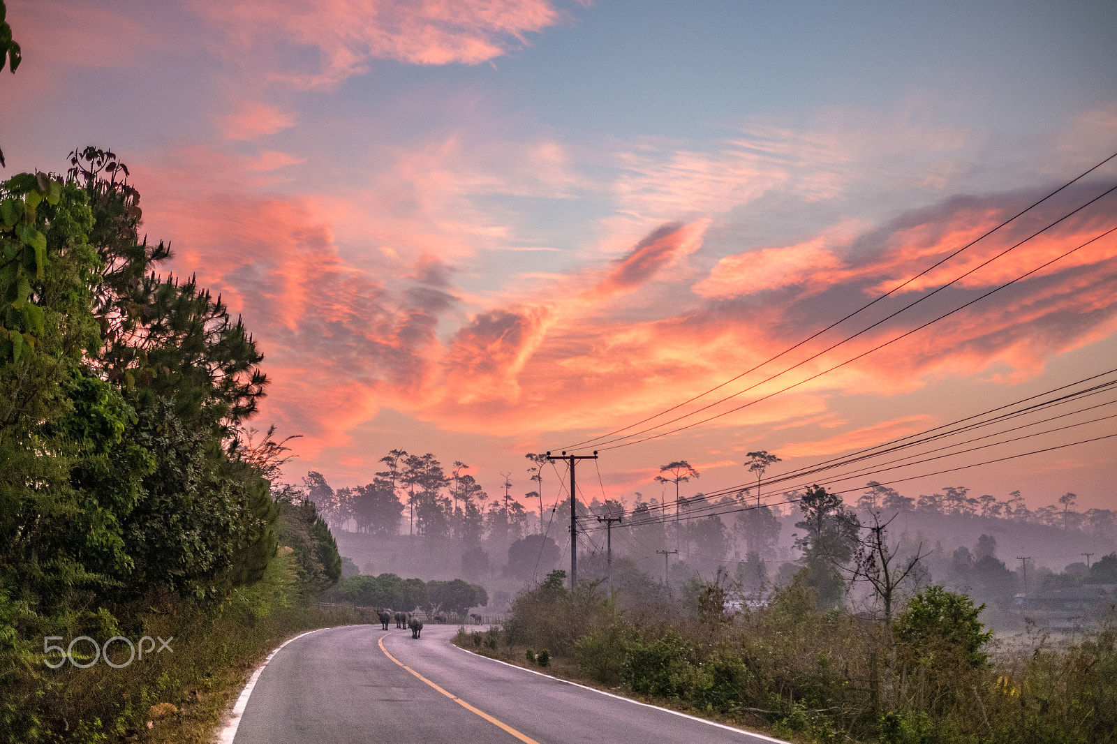 Fujifilm X-A2 + Fujifilm XF 23mm F1.4 R sample photo. Red clouds morning photography