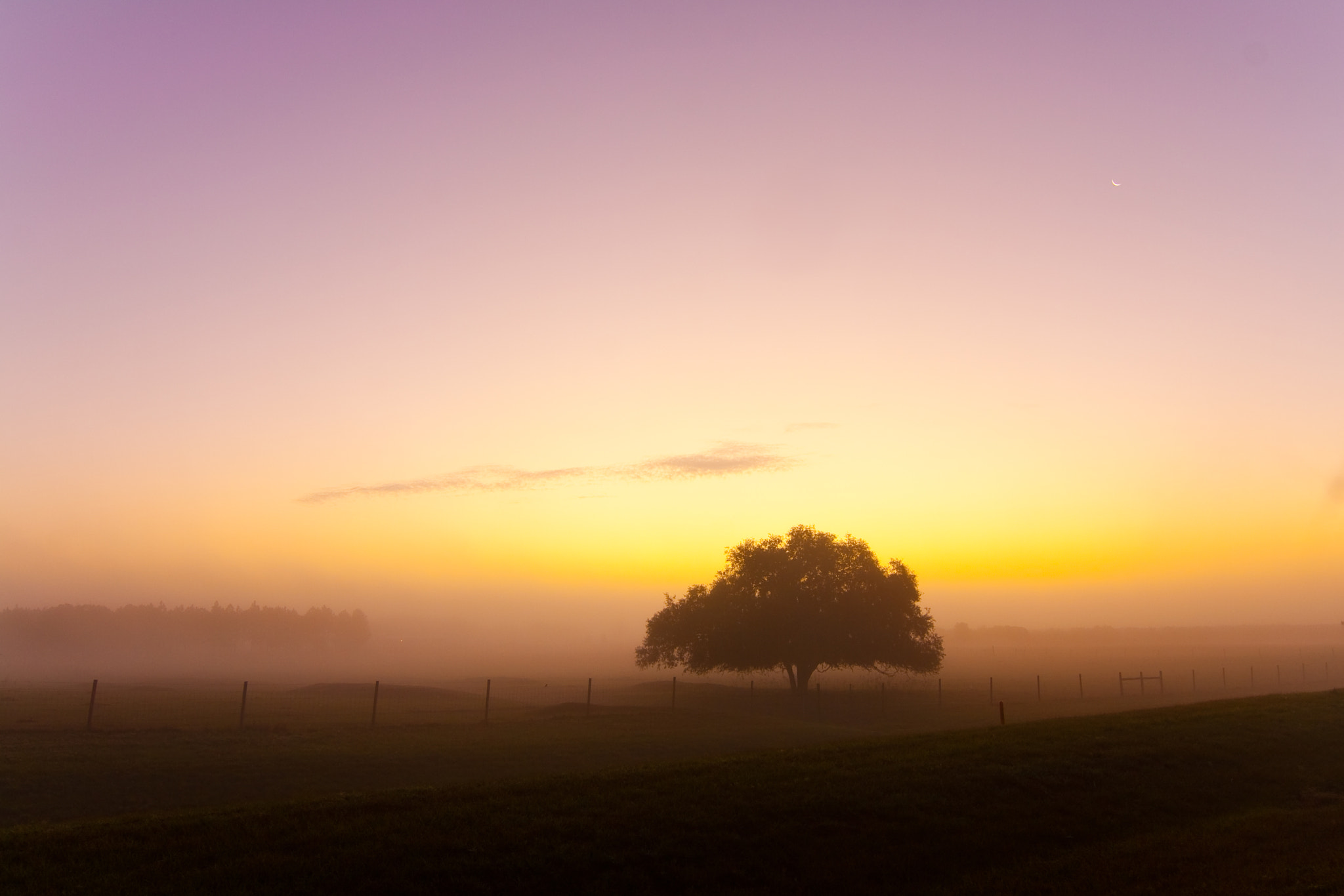 Tokina AT-X Pro 12-24mm F4 (IF) DX sample photo. Beginning of a new day @ florida countryside photography