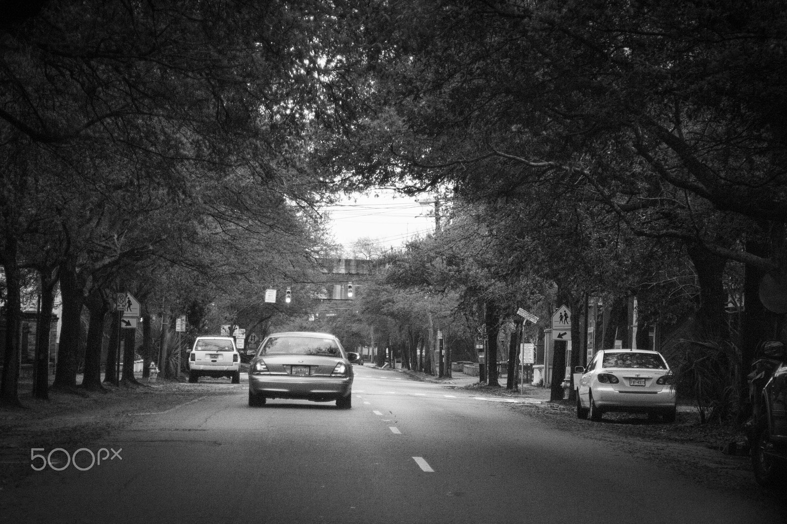 Canon EOS 760D (EOS Rebel T6s / EOS 8000D) sample photo. Crownvic photography