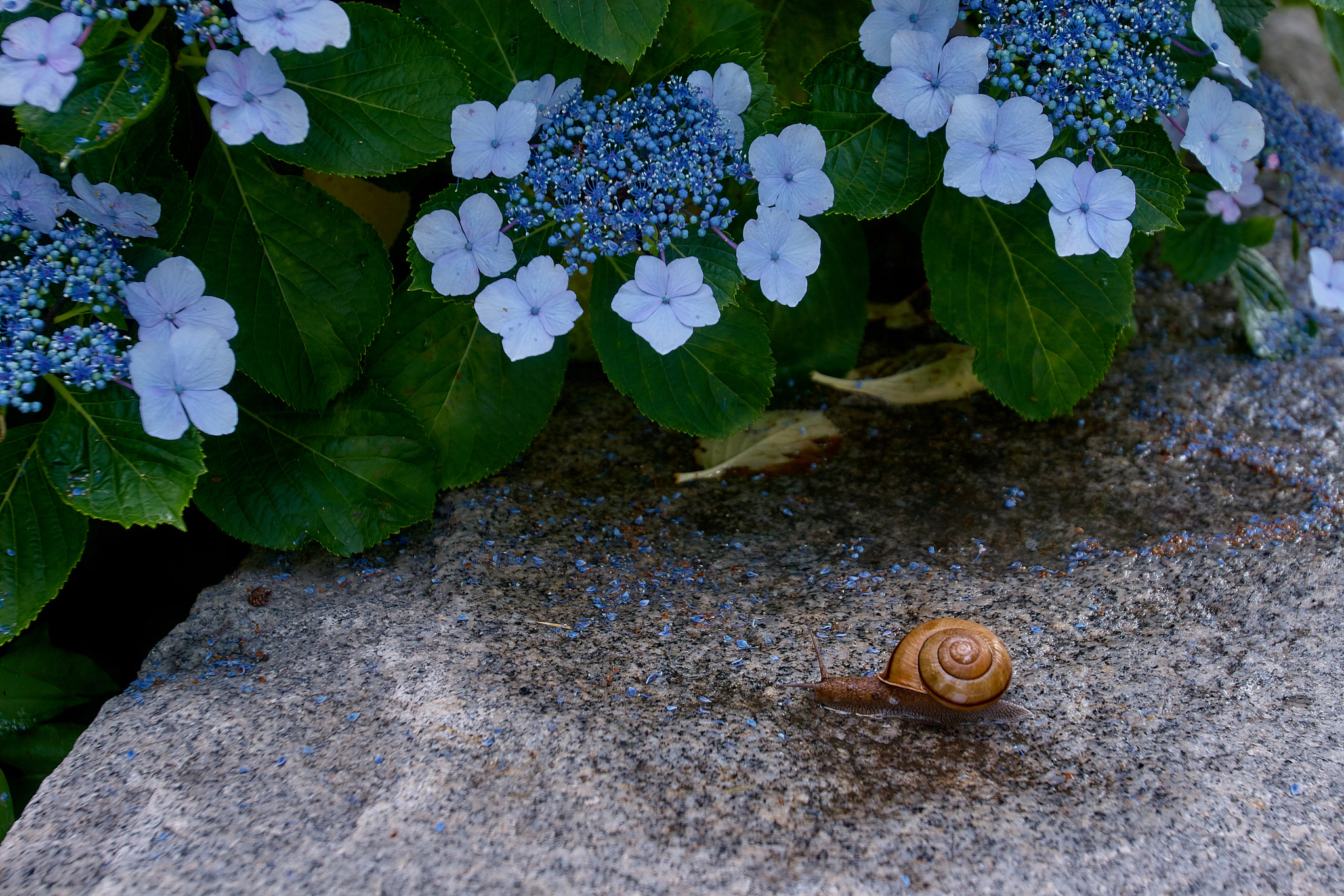 Canon EOS 30D + Canon EF 16-35mm F2.8L USM sample photo. Strolling photography