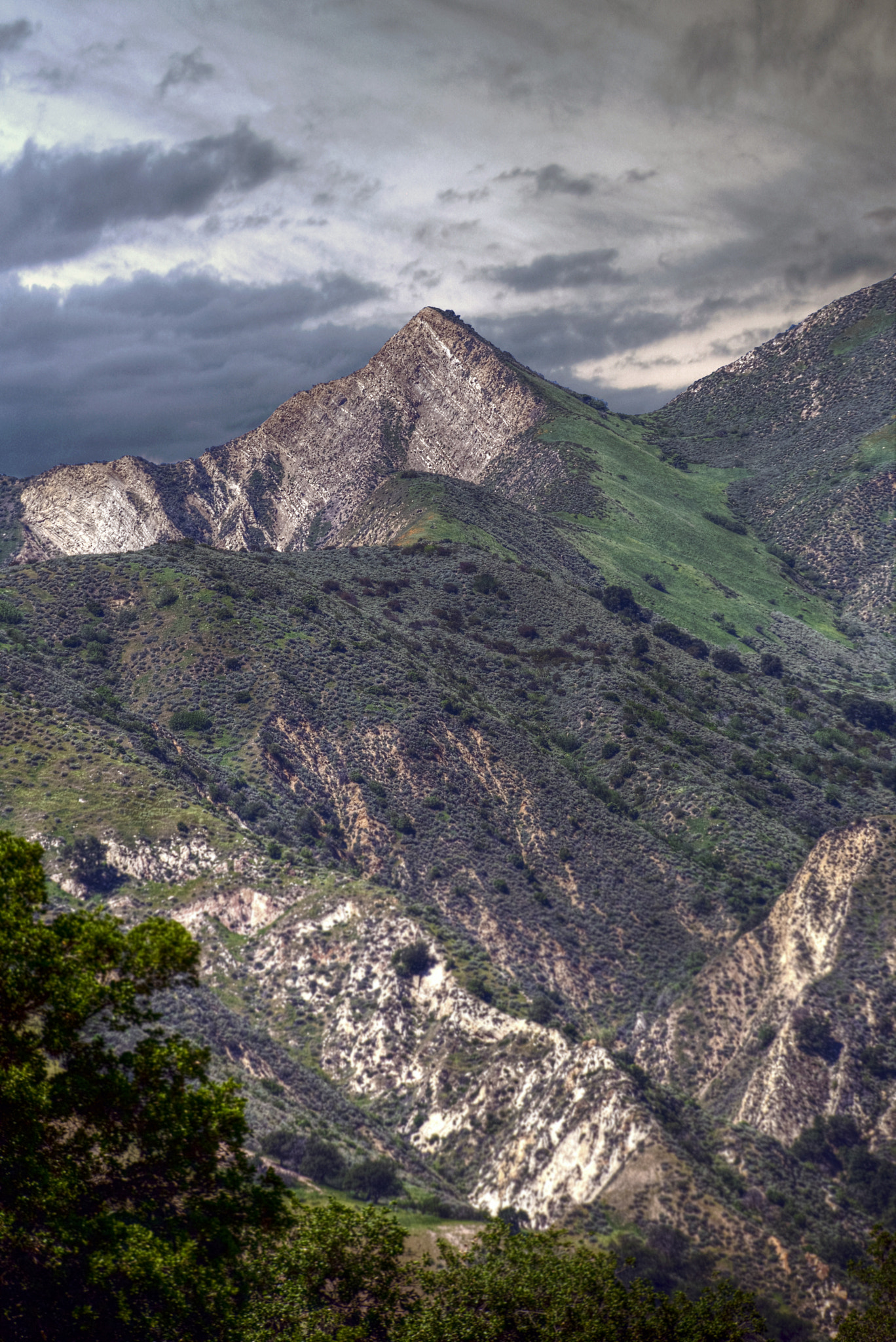 Sigma 120-300mm F2.8 EX DG HSM sample photo. Wyvern ranch photography