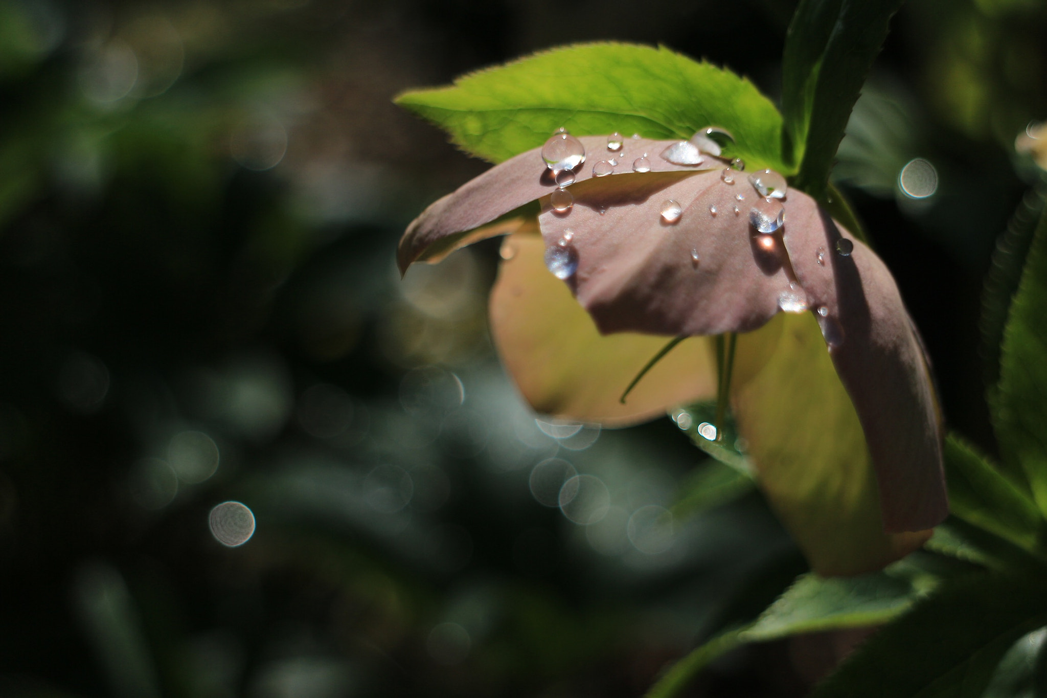 Canon EOS M + Canon 18.0-55.0 mm sample photo. Untitled photography