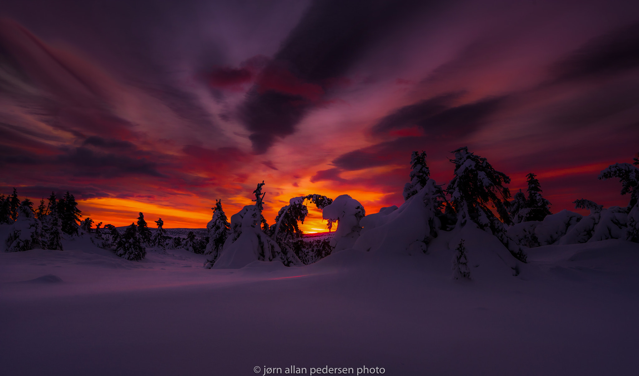 Nikon D3S sample photo. Fire in the snow photography