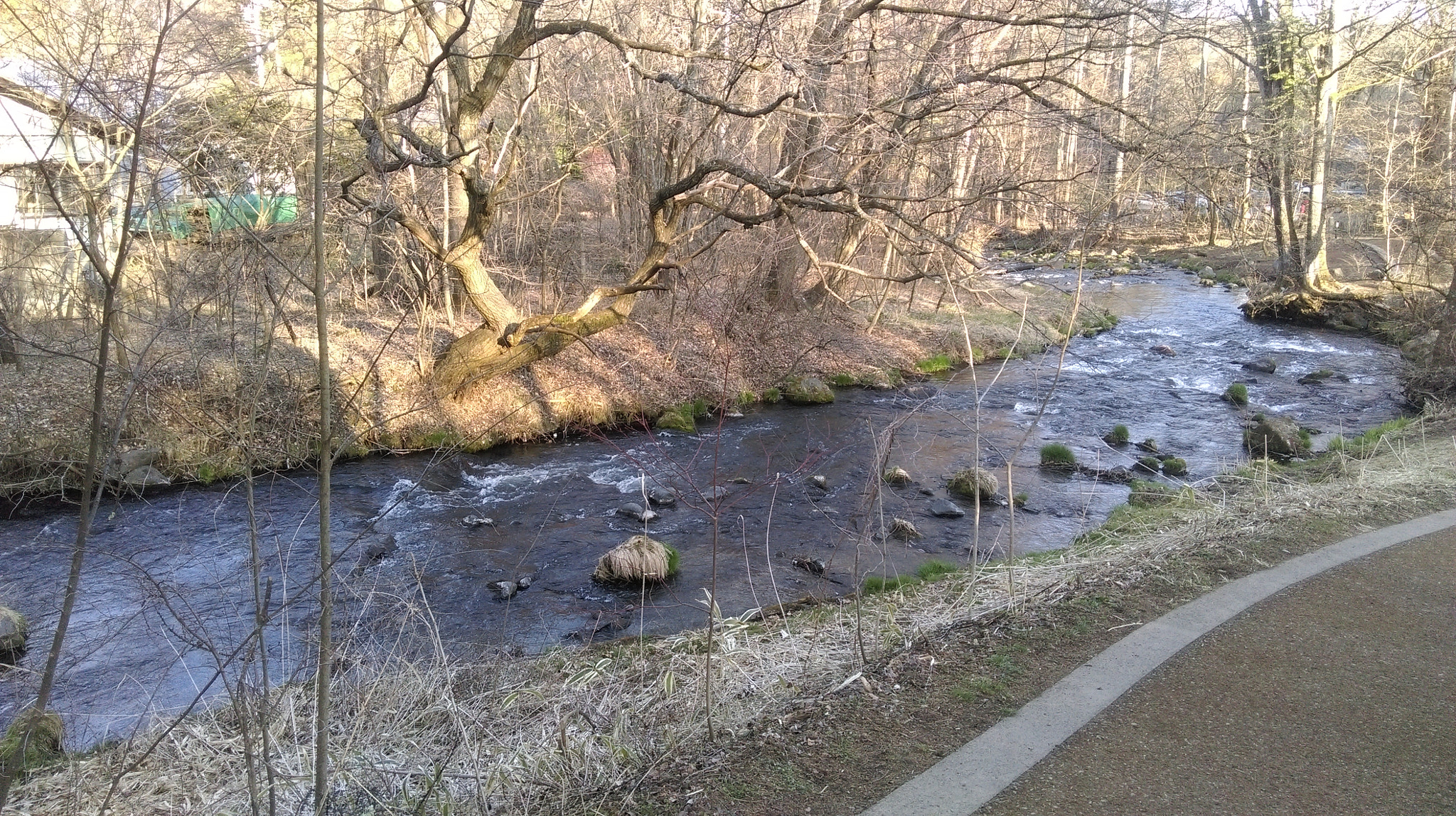 HTC DESIRE 820 DUAL SIM sample photo. Karuizawa photography