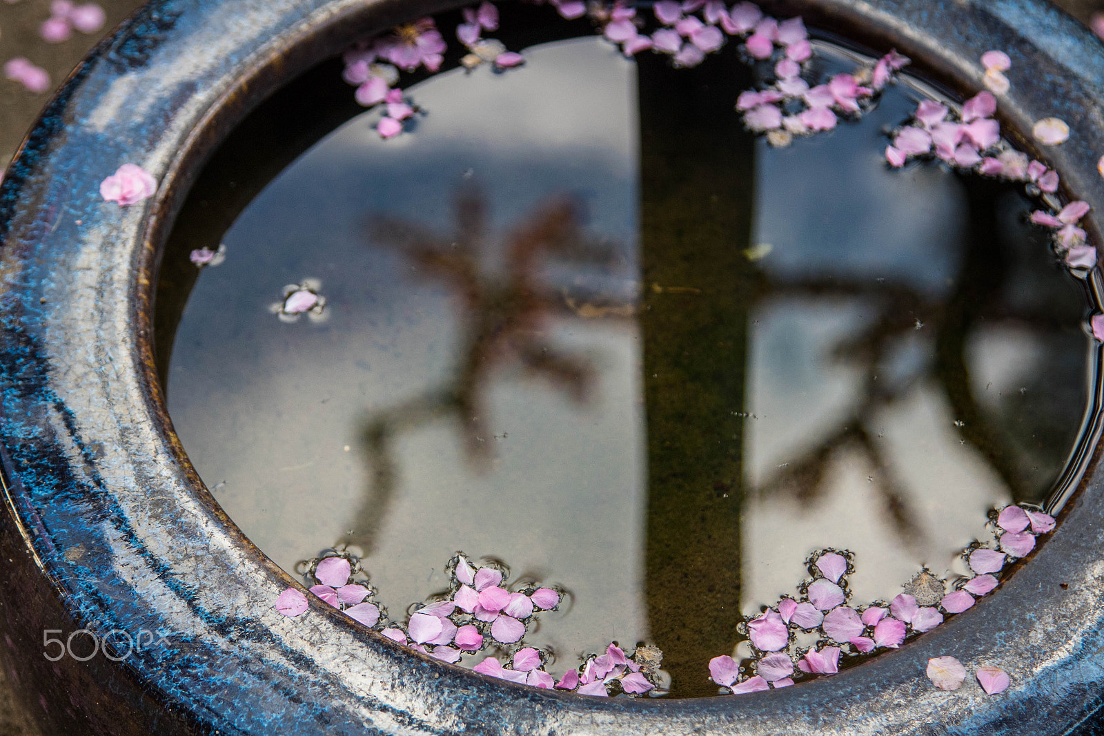 Canon EOS M2 + Canon EF 24-105mm F4L IS USM sample photo. Sakura blossoms, kyoto reflection photography