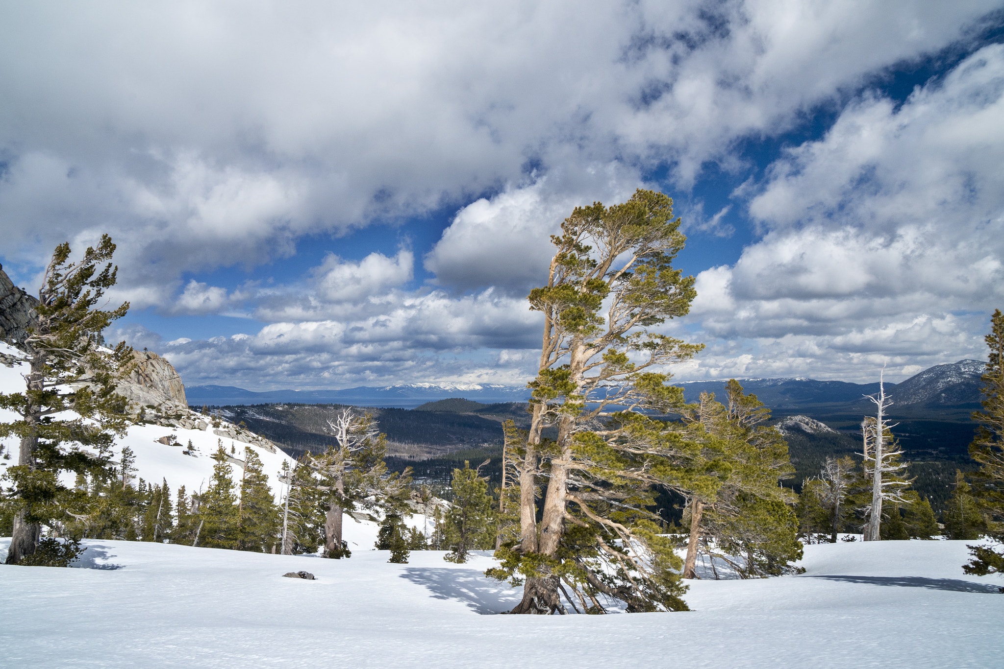 Sony a7R II + Sony Vario-Tessar T* E 16-70mm F4 ZA OSS sample photo. Tahoe rim, part of pacific crest trail. photography