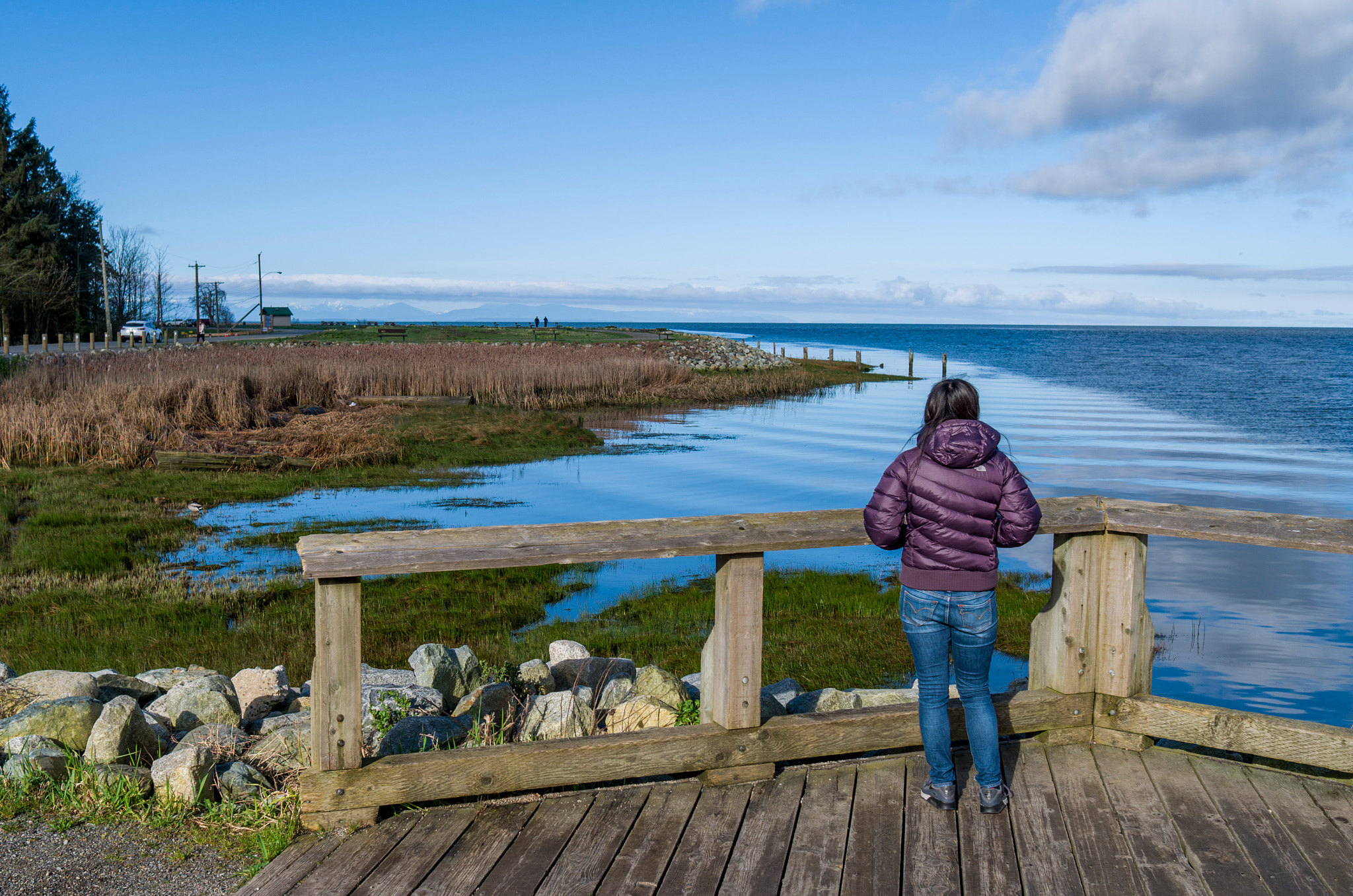 Leica X-E (TYP 102) sample photo. Wetland photography