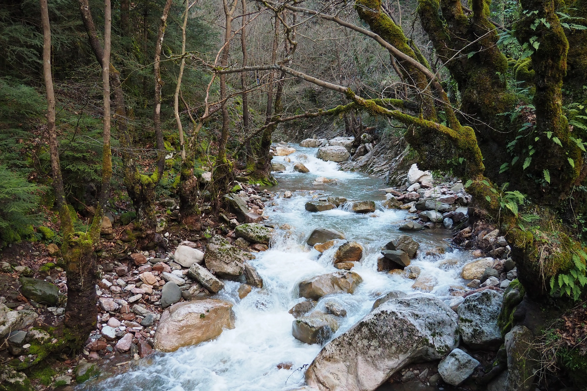 Olympus OM-D E-M10 sample photo. One with the nature photography