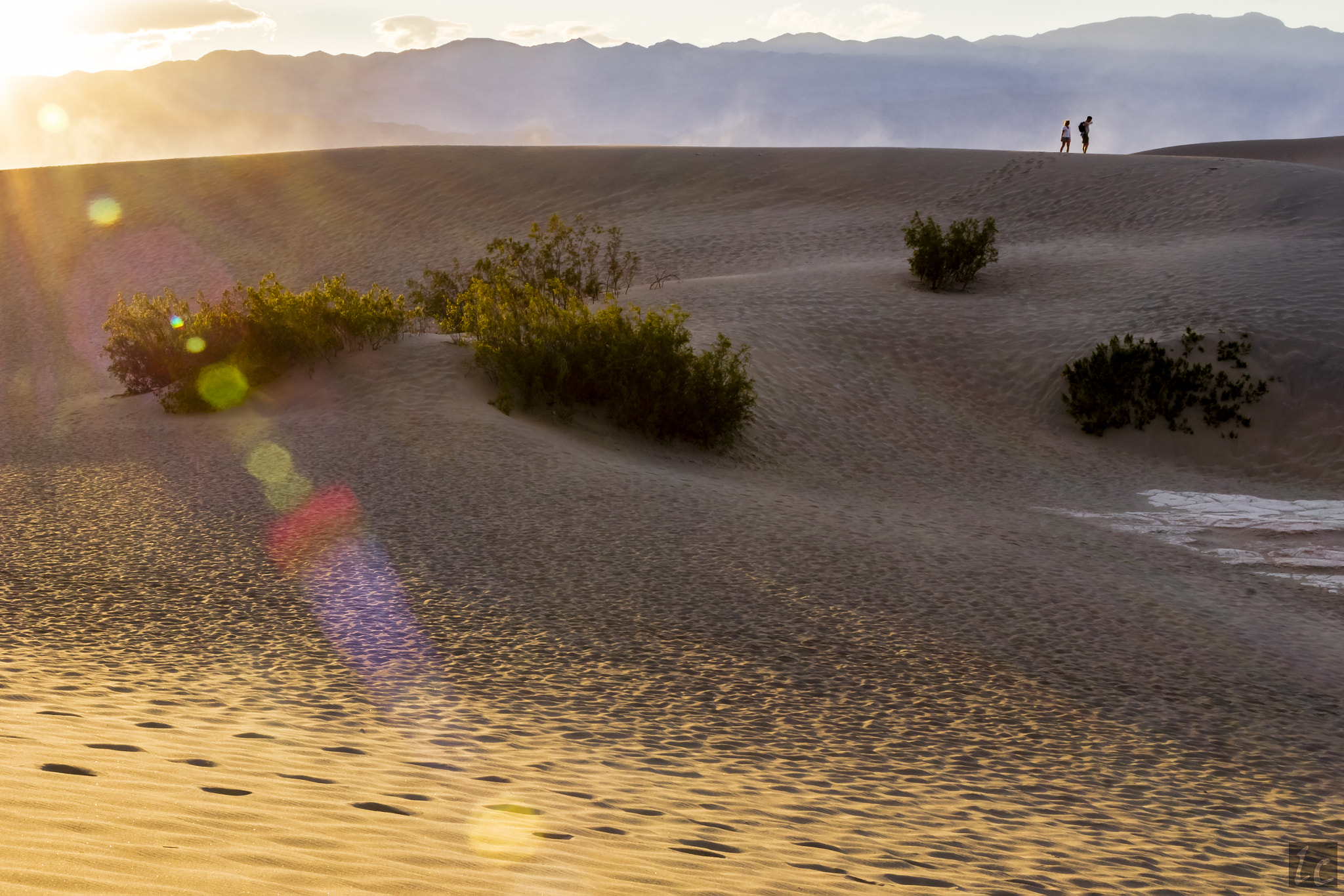 Canon EOS 5DS R + Canon EF 35mm F1.4L USM sample photo. Sunset walk on mesquite sand dunes photography