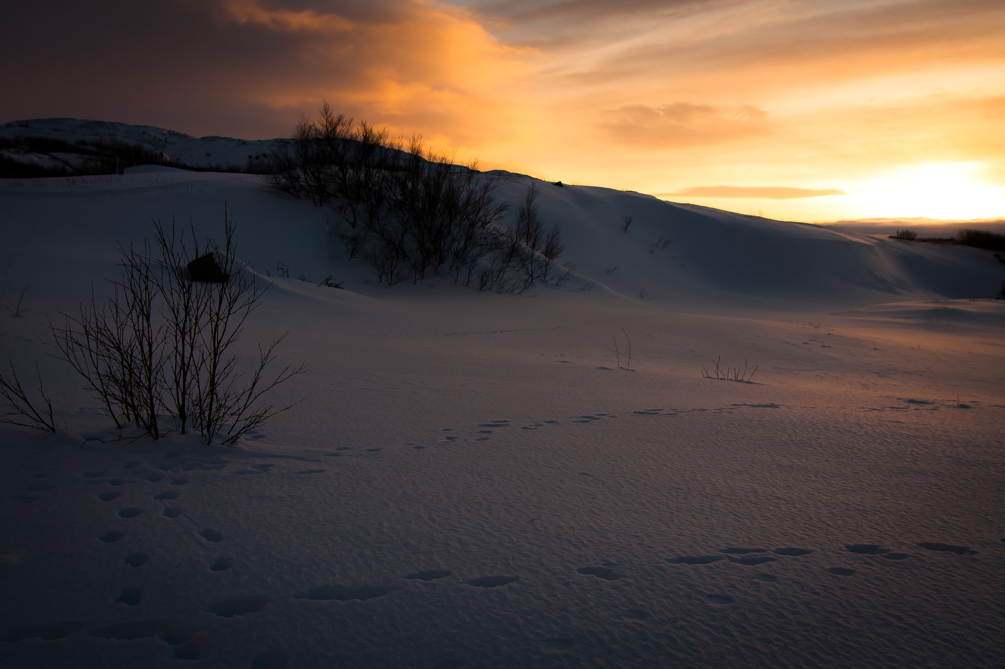 Canon EOS 40D + Sigma 20mm EX f/1.8 sample photo. Закат. Следы photography
