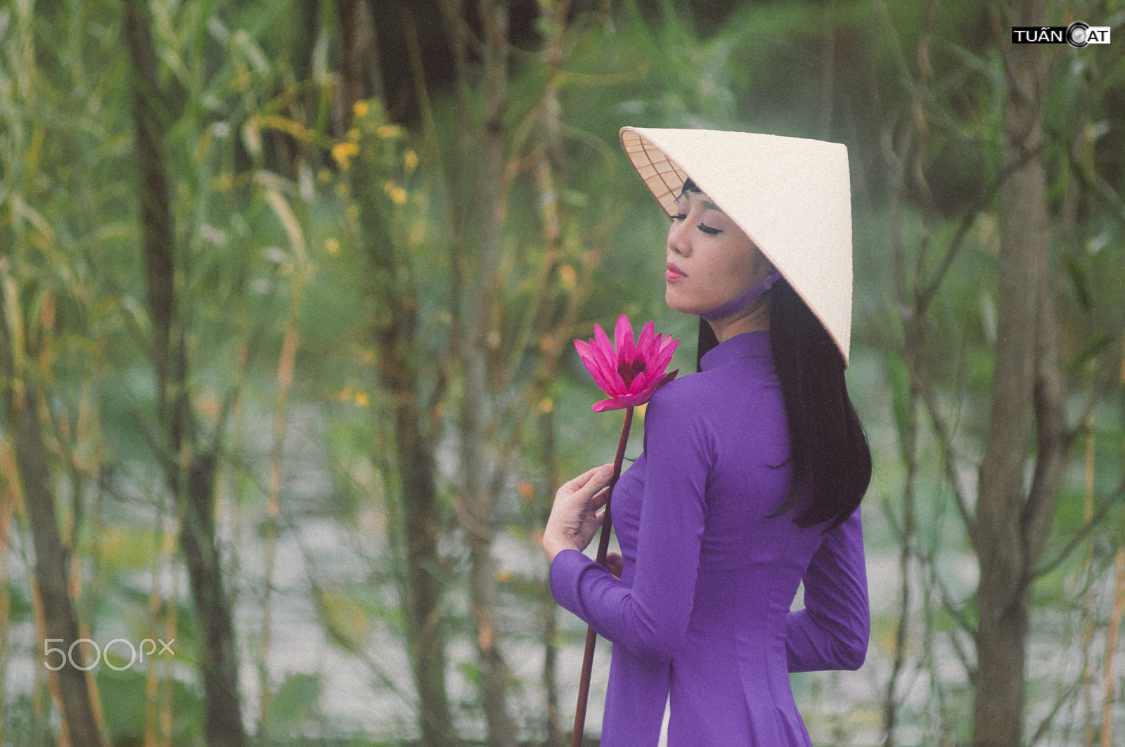 AF Zoom-Nikkor 80-200mm f/2.8 ED sample photo. Suối yến photography