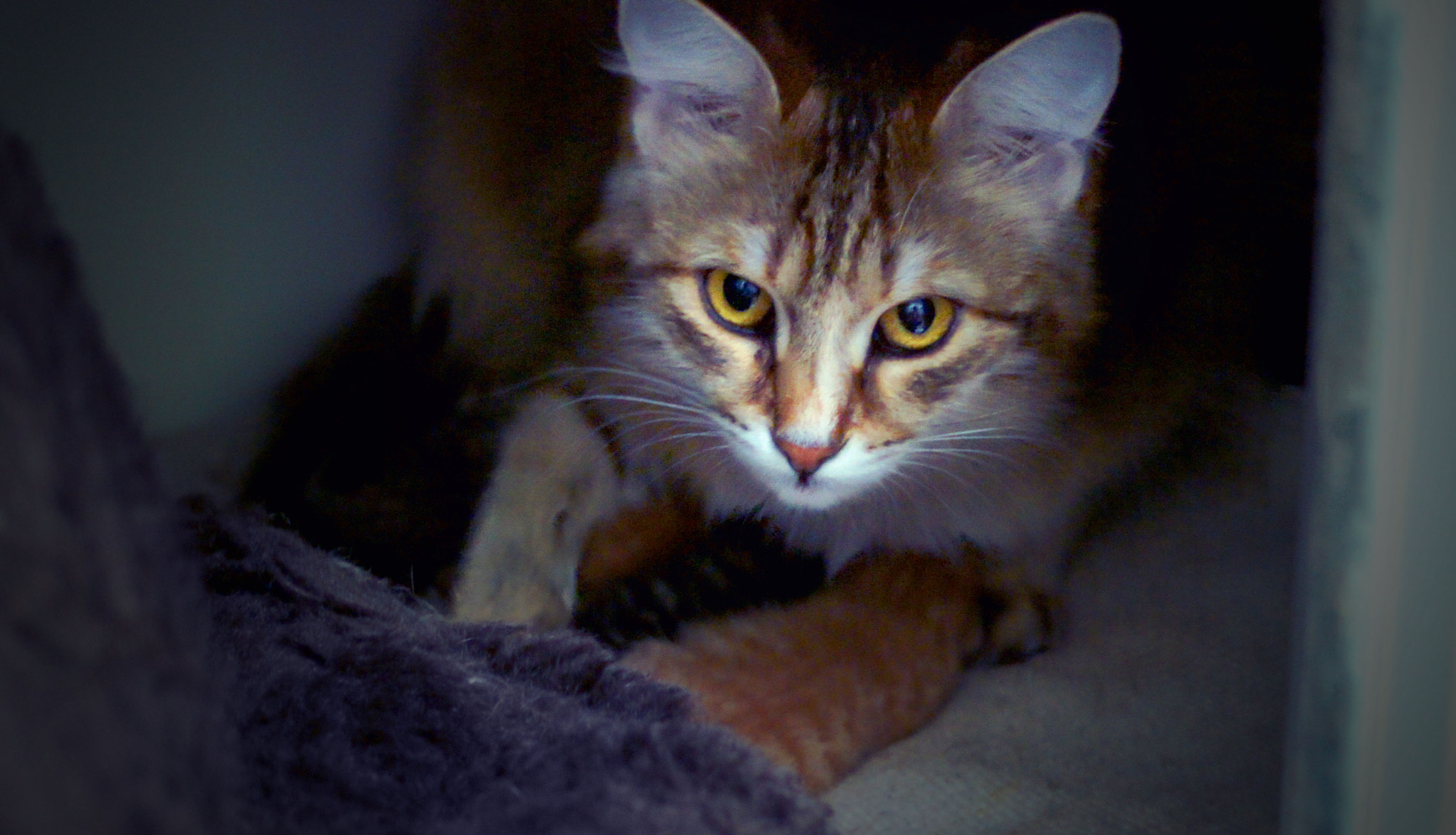 Sony SLT-A55 (SLT-A55V) + Minolta AF 24-50mm F4 sample photo. Mom always keeps you safe photography